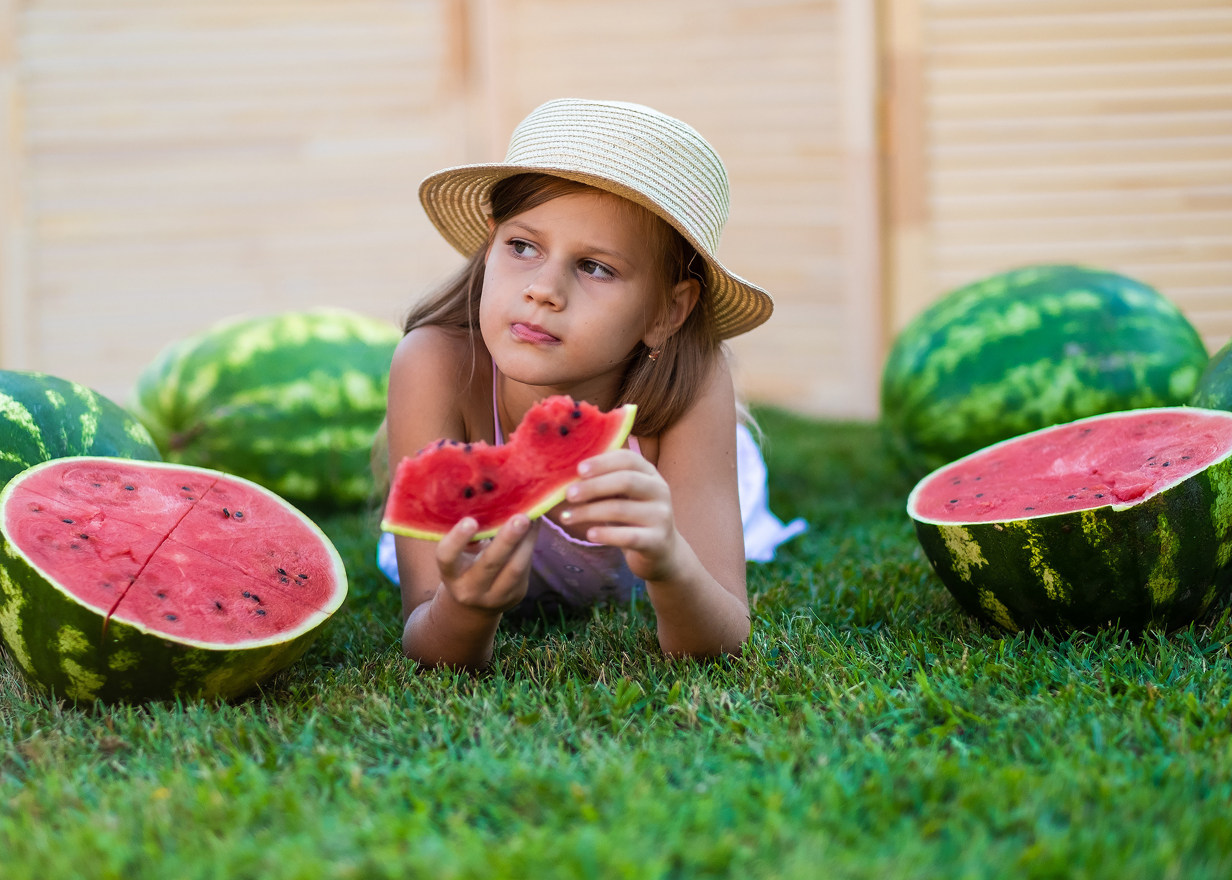 Арбузное лето. Фотограф в Подольске Яковлева Ольга