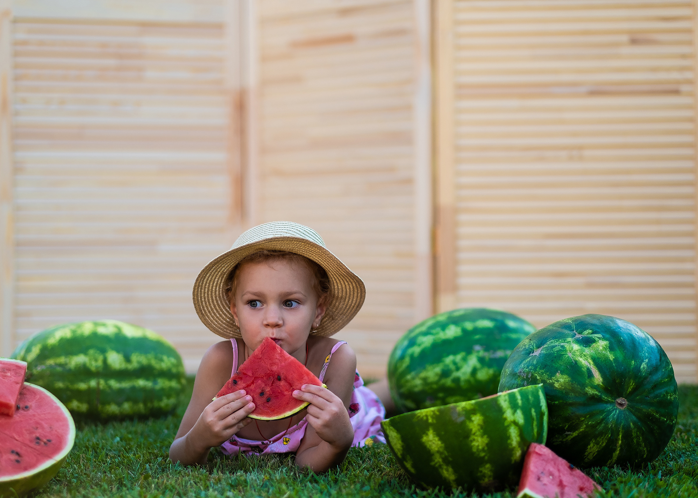 Арбузное лето. Фотограф в Подольске Яковлева Ольга