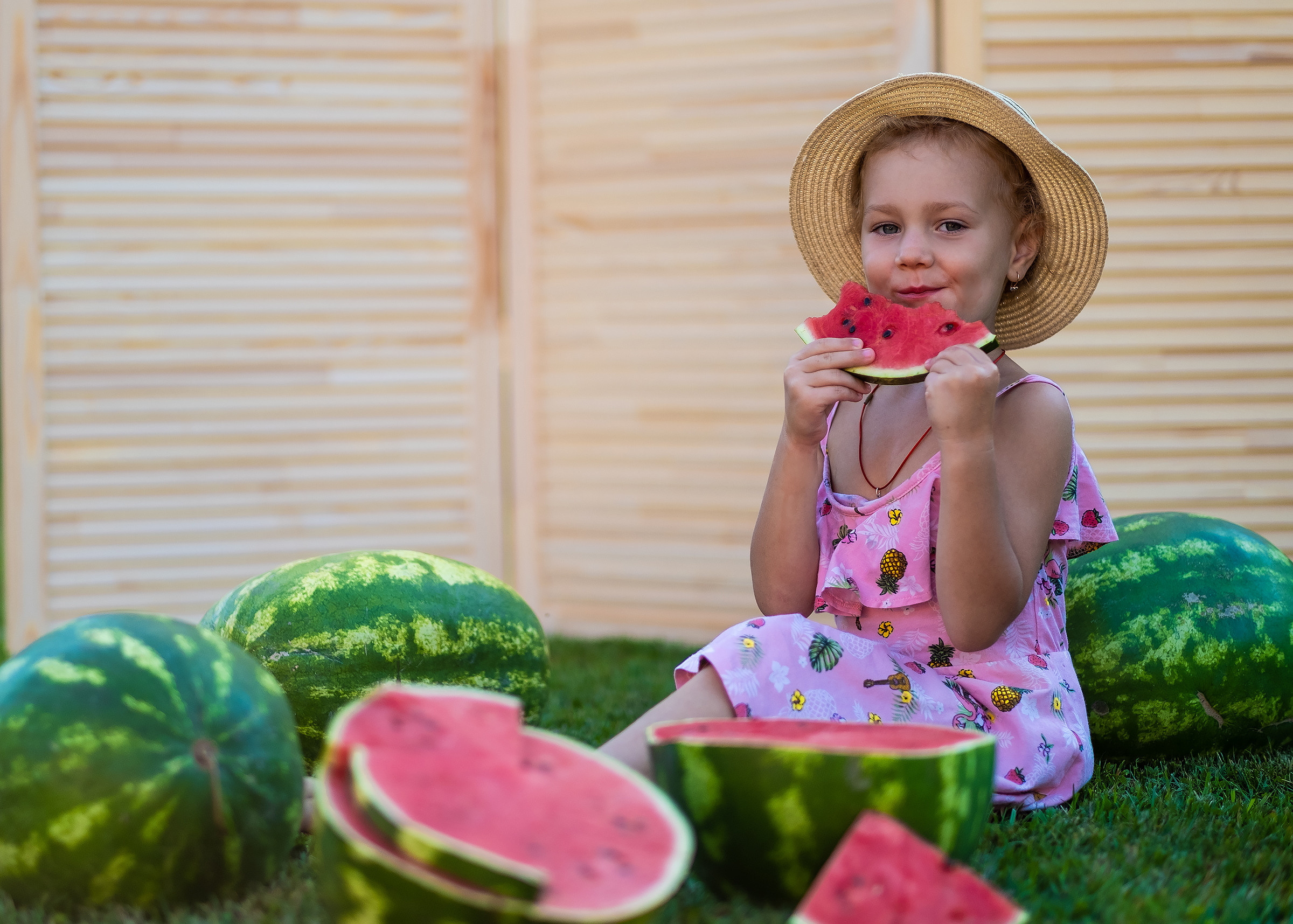 Арбузное лето. Фотограф в Подольске Яковлева Ольга