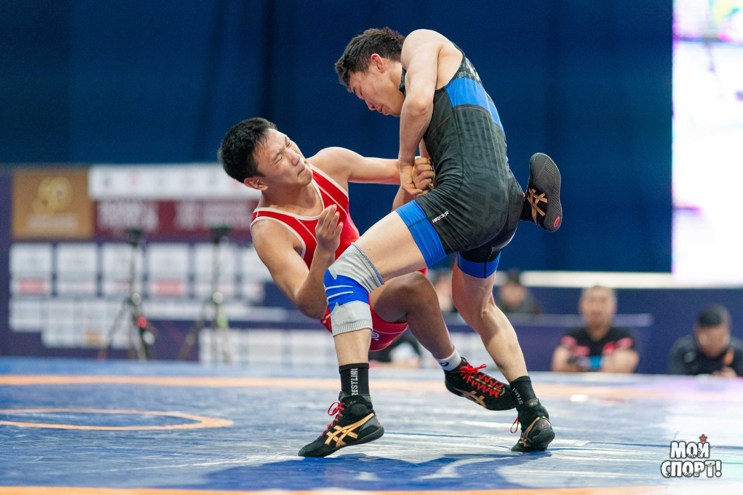 XII Международные соревнования по спортивной борьбе пам. Р. М. Дмитриева. Студия «Мой Спорт!» — все о спорте в Якутии