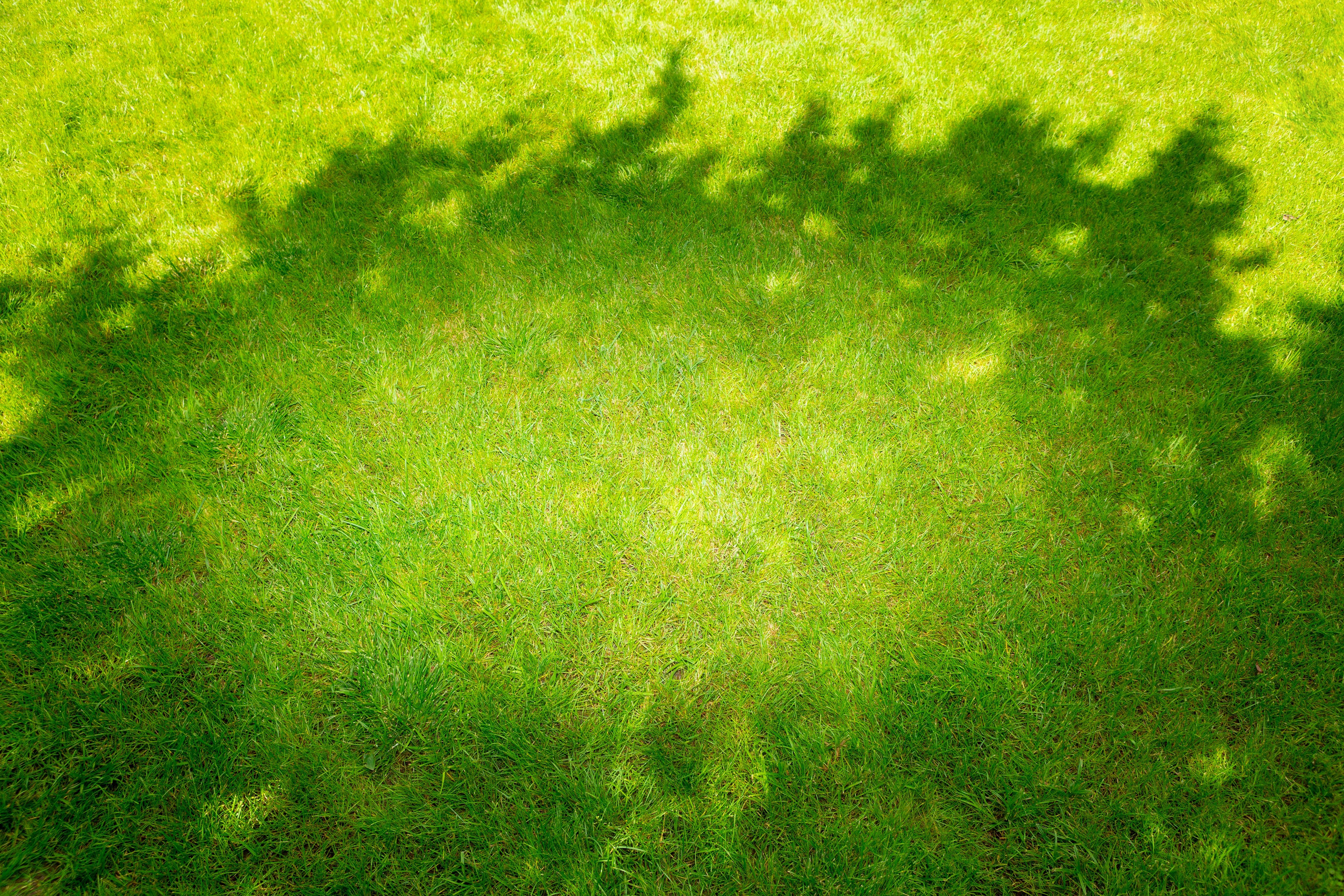 Формальная сторона. Фотографии Саши Любина