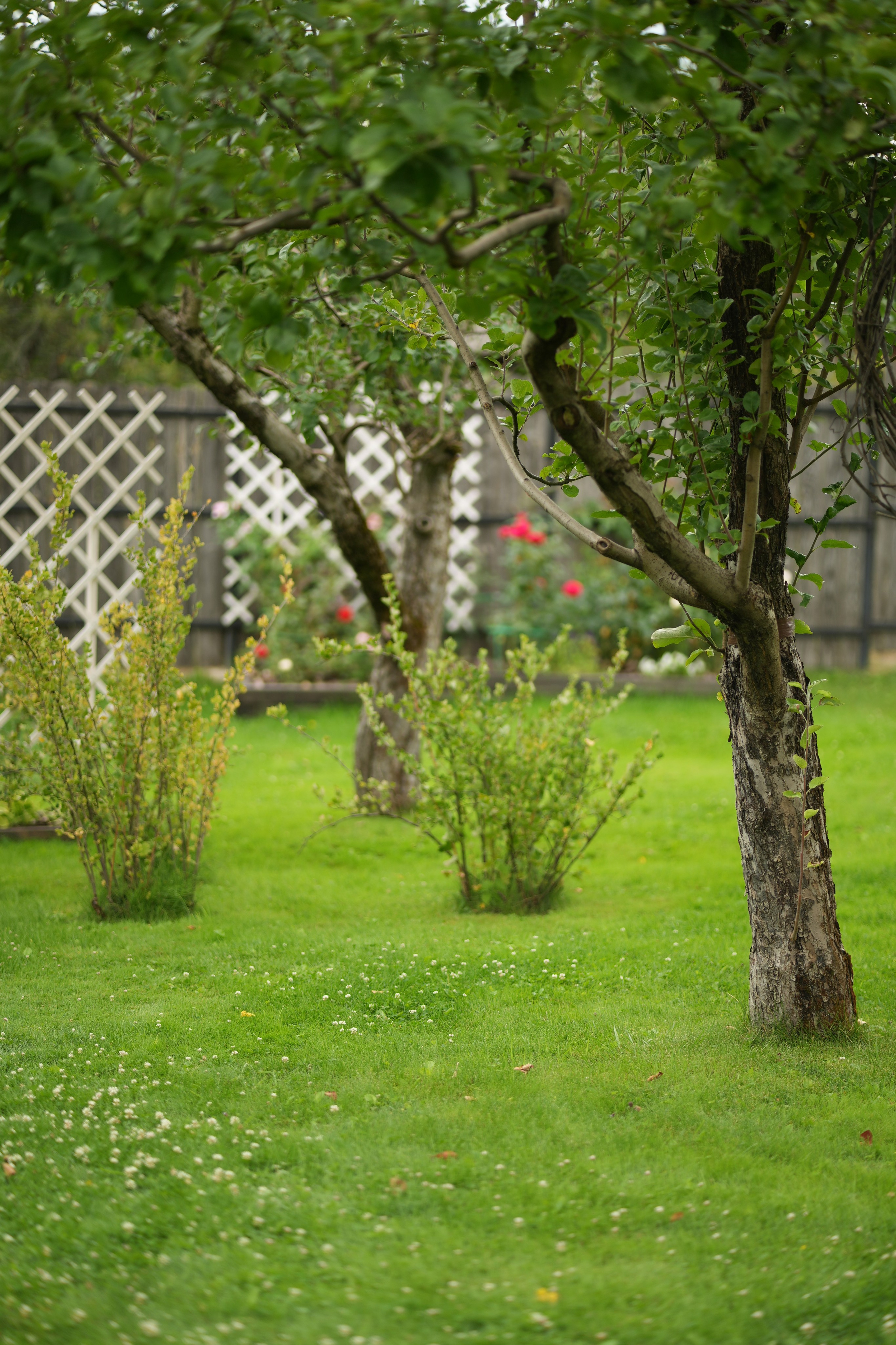 Час 1500 пример фотосессии пакет «ФОТО НА ПАМЯТЬ» (без обработки). Фотограф Нижний Новгород Татьяна Кэйод