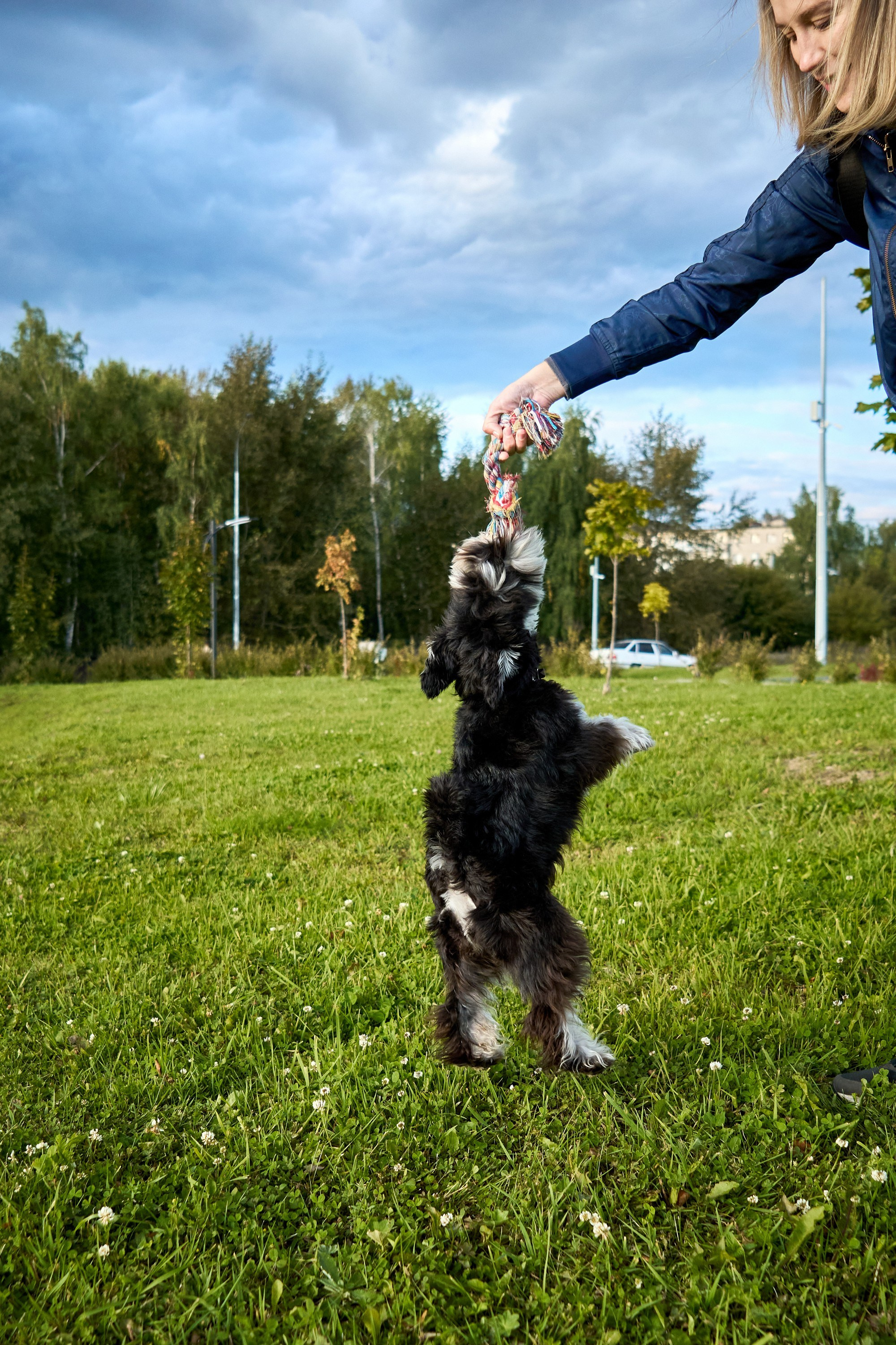 Съемка собак. Фотограф в Екатеринбурге Анастасия Фе