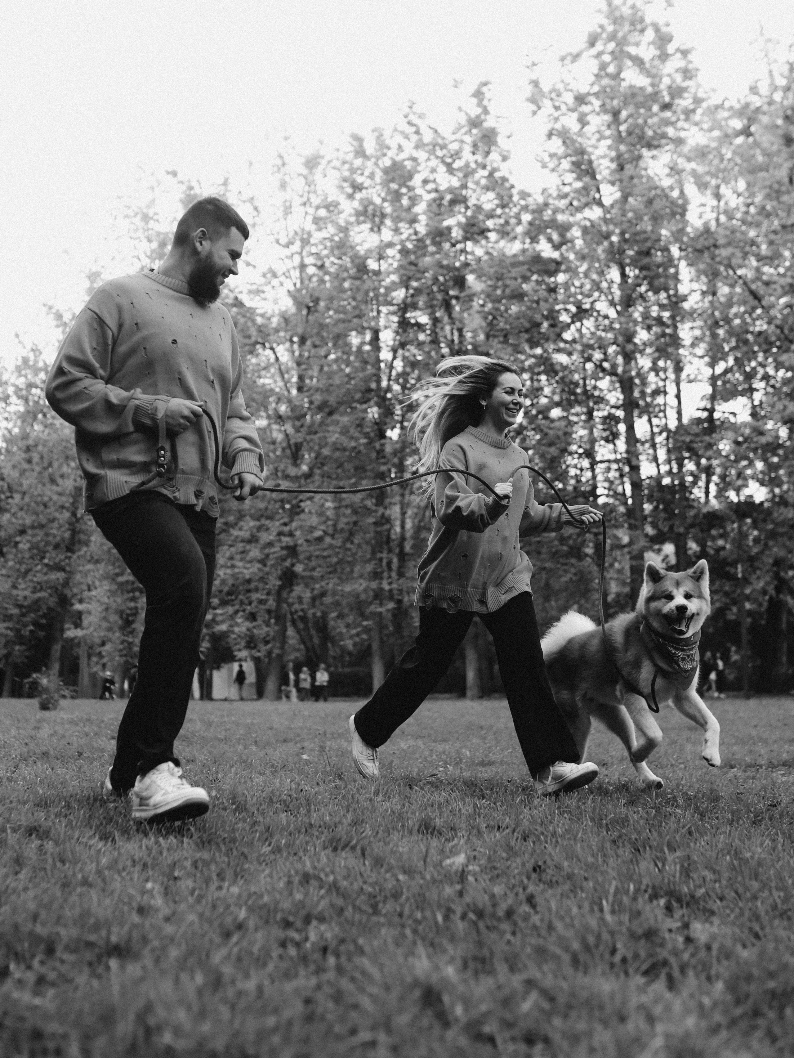 Гранд, Вика и Степан. Фотограф-анималист в Москве Кириллова Татьяна