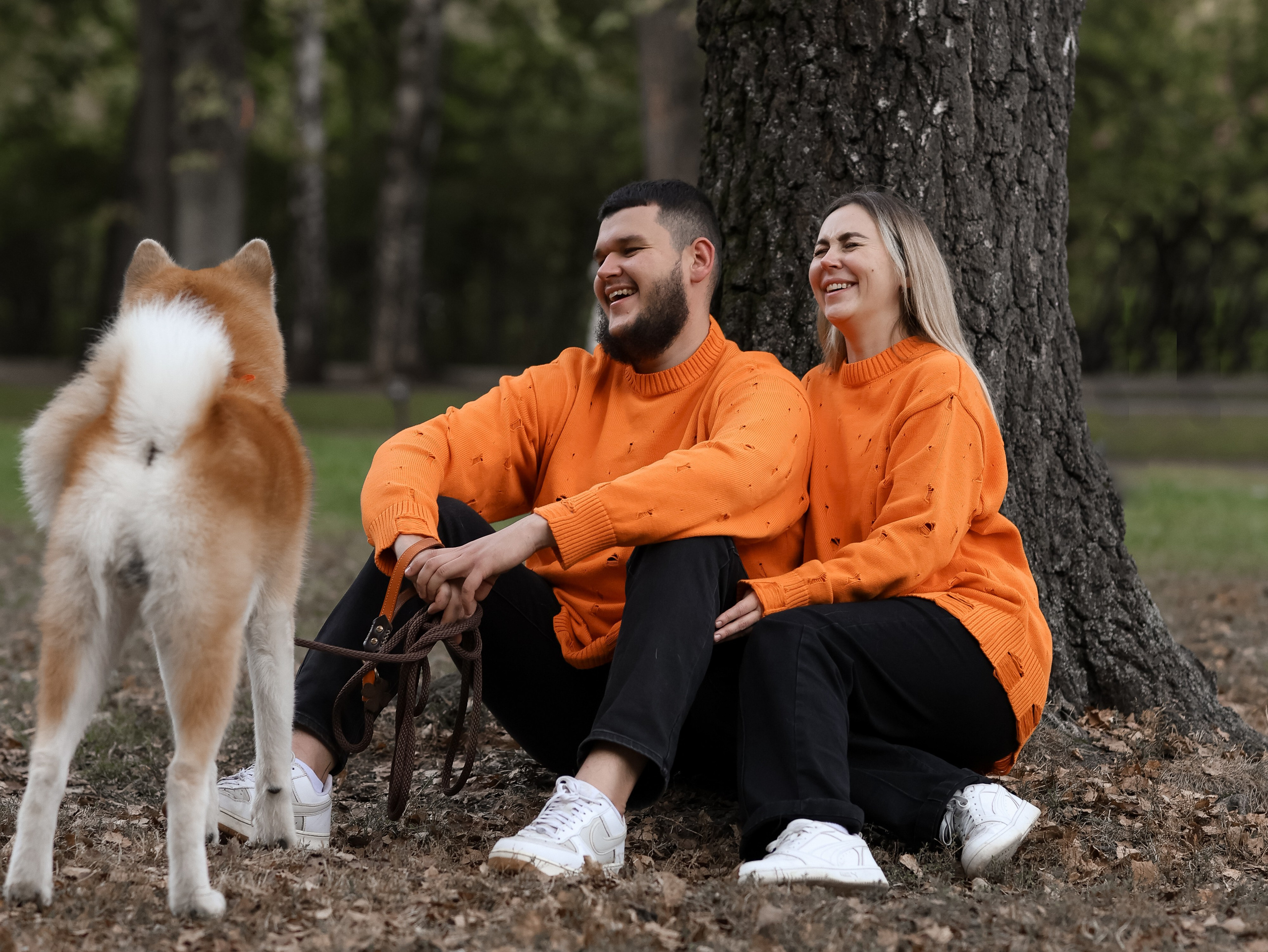 Гранд, Вика и Степан. Фотограф-анималист в Москве Кириллова Татьяна