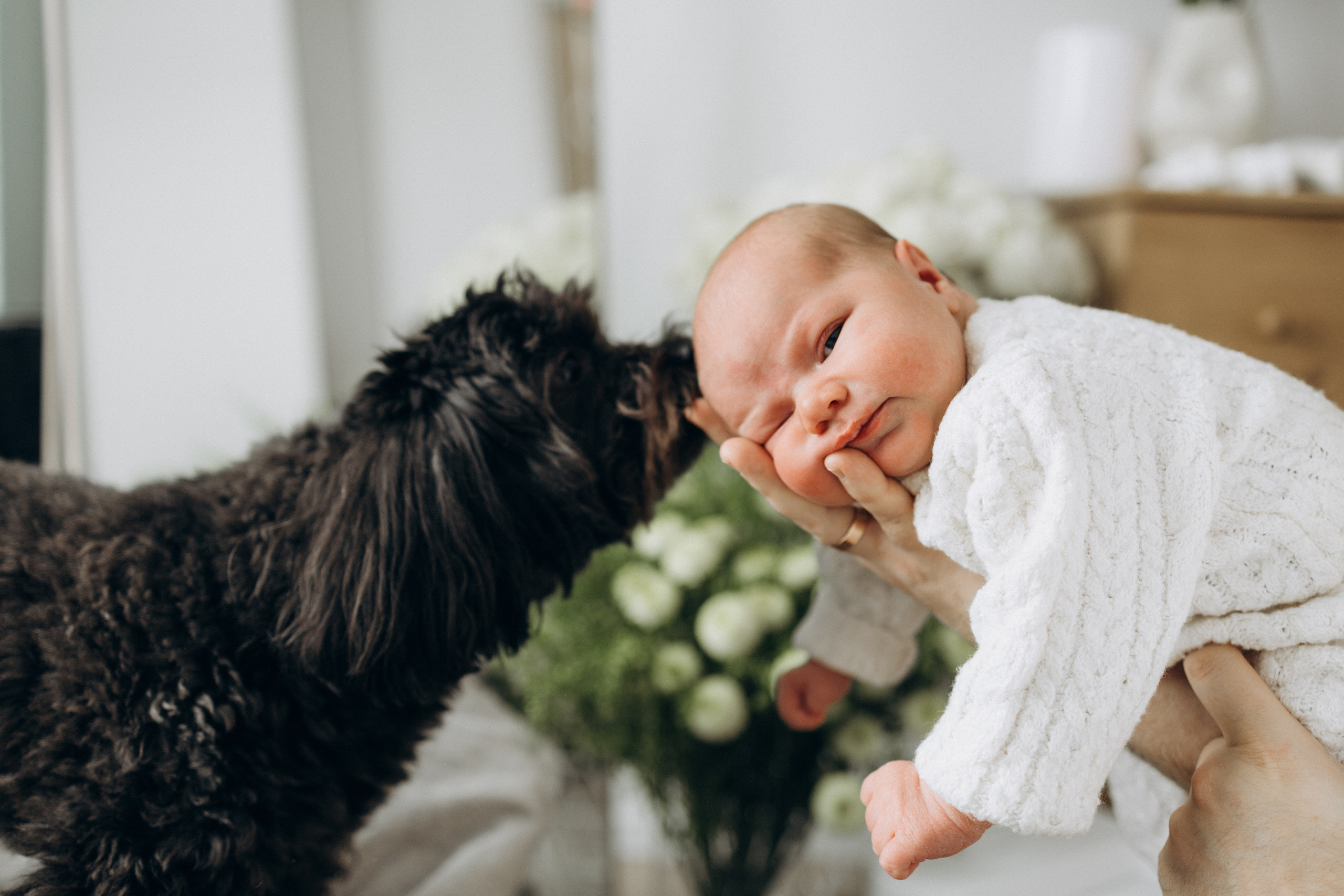 Малышка Вера. Семеный, Детский, Love story фотограф