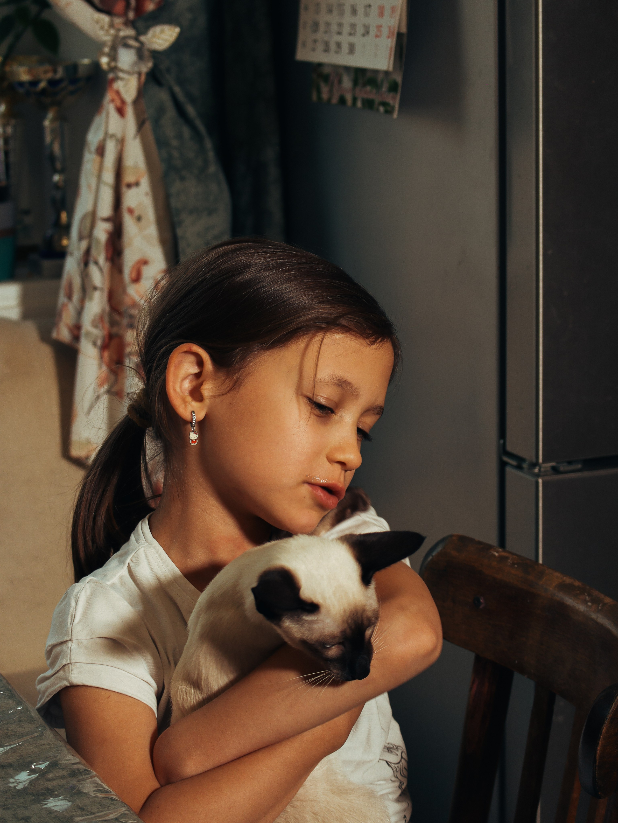 Питомцы. Кинематографичный фотограф, видеограф Лина Плешакова, Санкт-Петербург