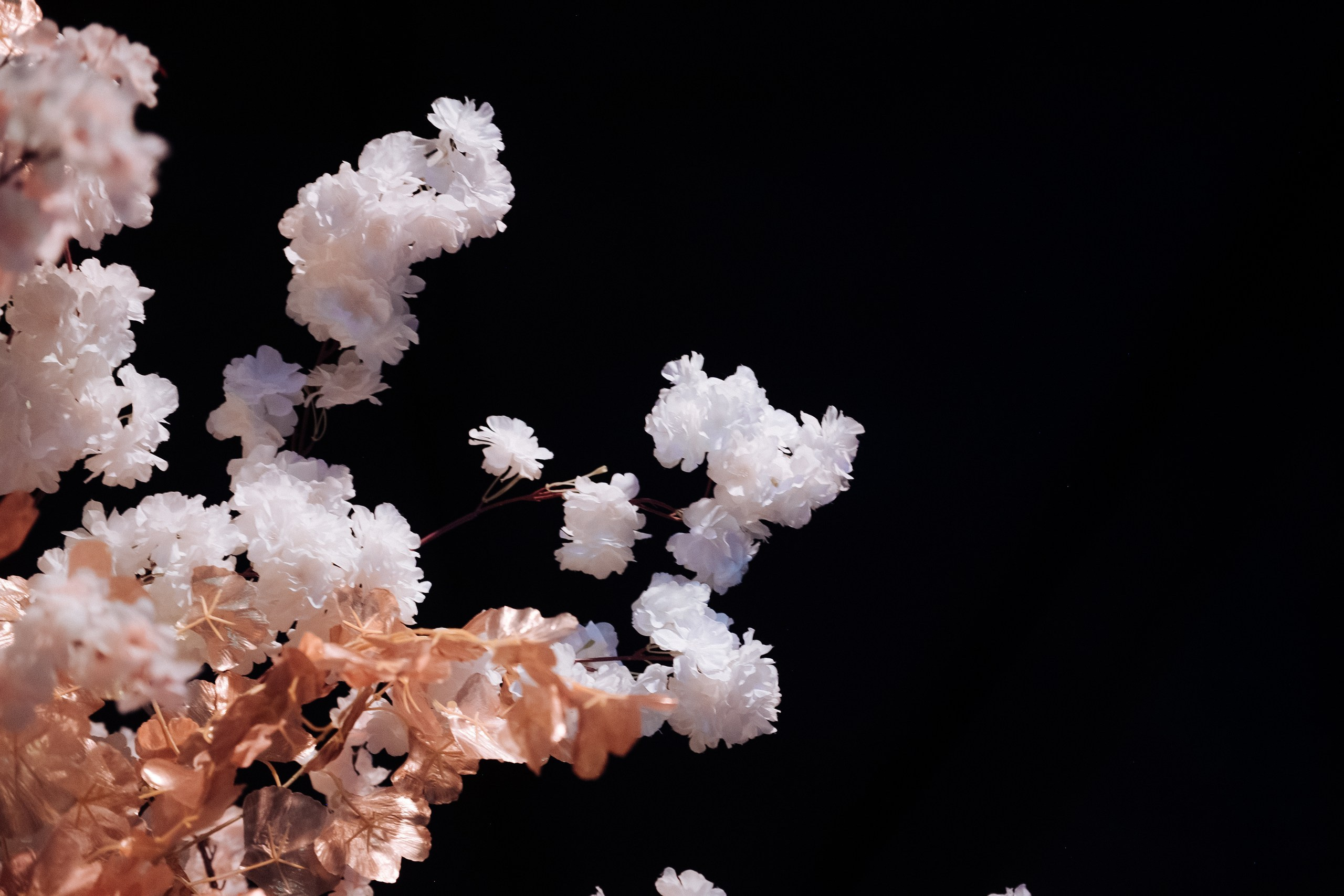 СИЛА РОДА | 03.05.2024 | г. Москва MJ HALL. МашаШарики | Декоратор | Москва