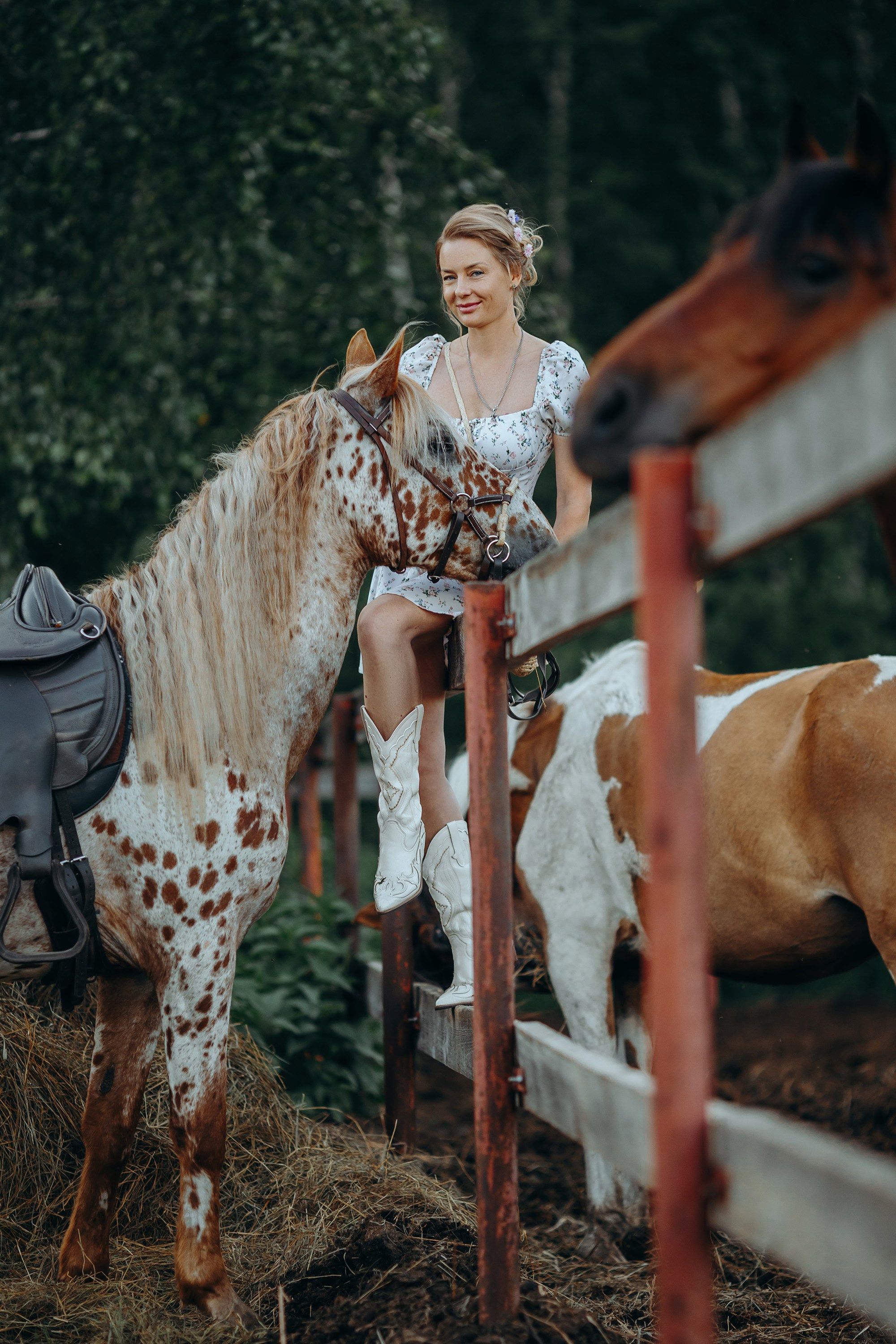 Пятнистая история. Анна Молчанова конный фотограф в Тюмени | фотосессии с лошадьми Тюмень