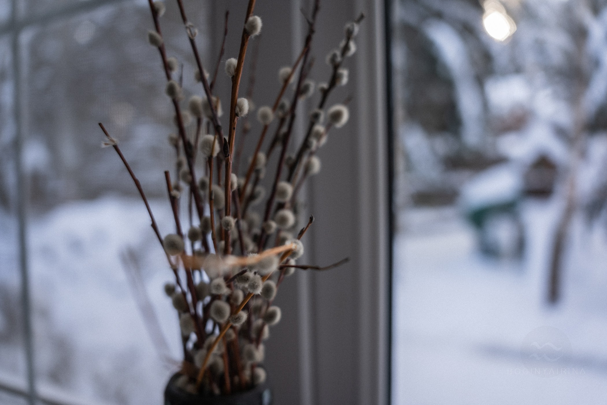 лучший репортажный фотограф 