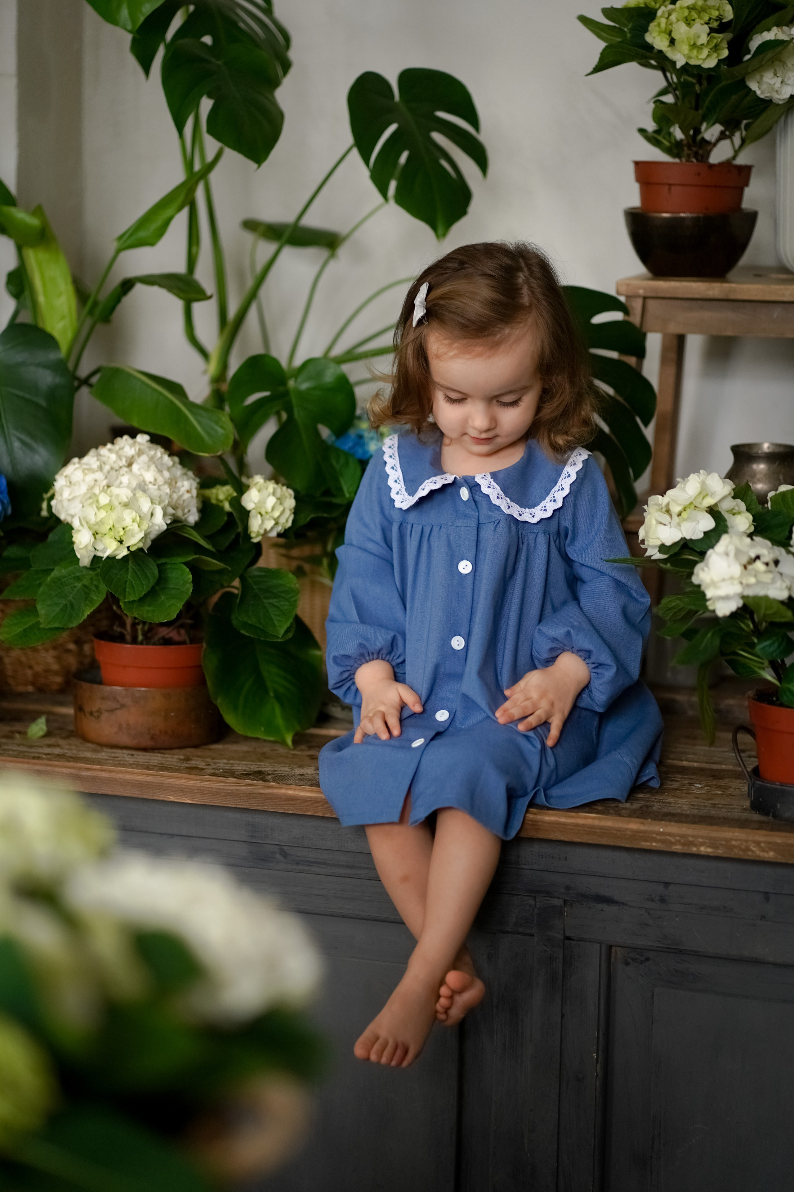 Маленький цветочек. Фотограф Татьяна Митрофанова