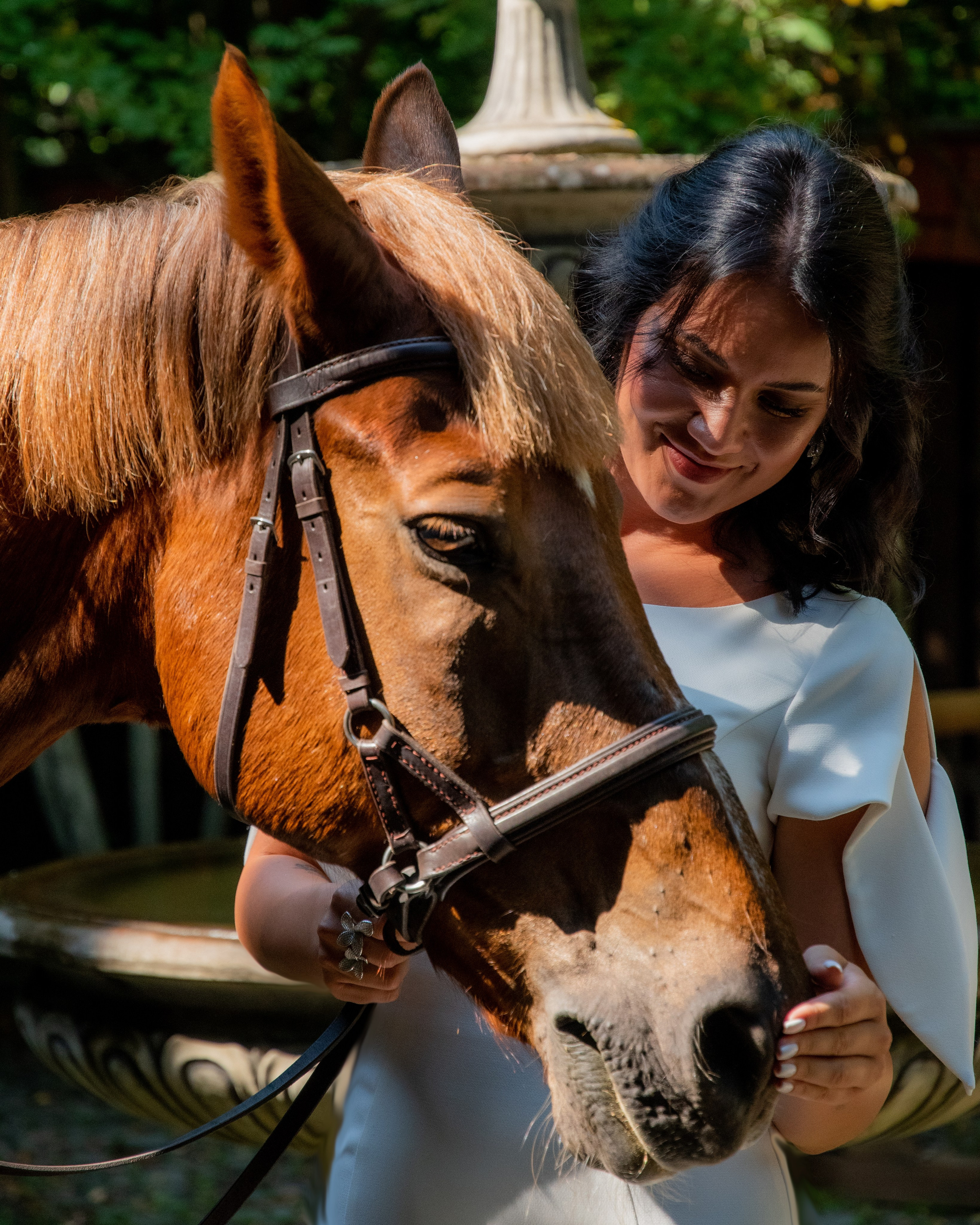 Фотосессия с лошадьми. Главная