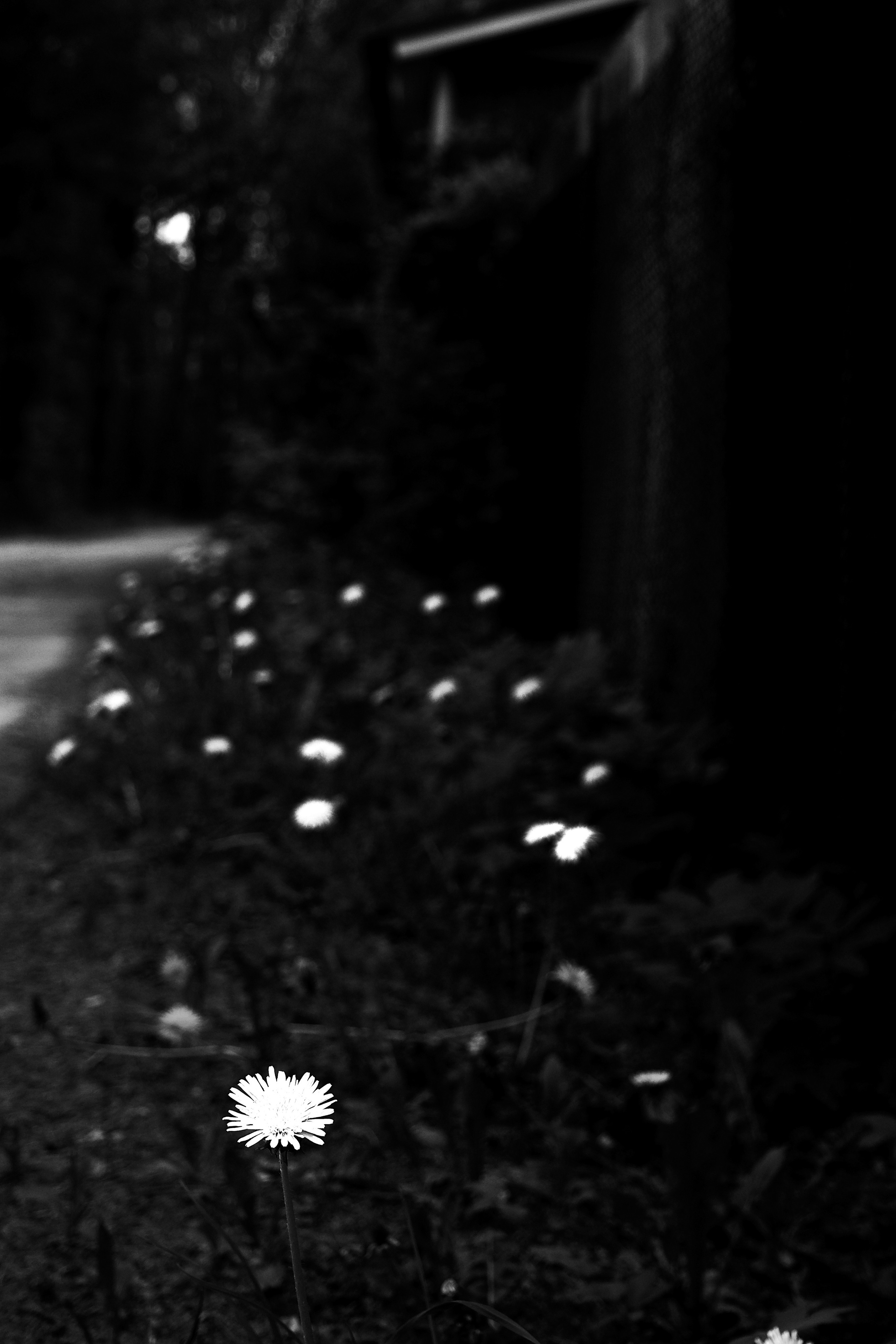 ЧБ  пейзажи (BnW landscape). Фотограф (photographer) Lischinski Vitaliy