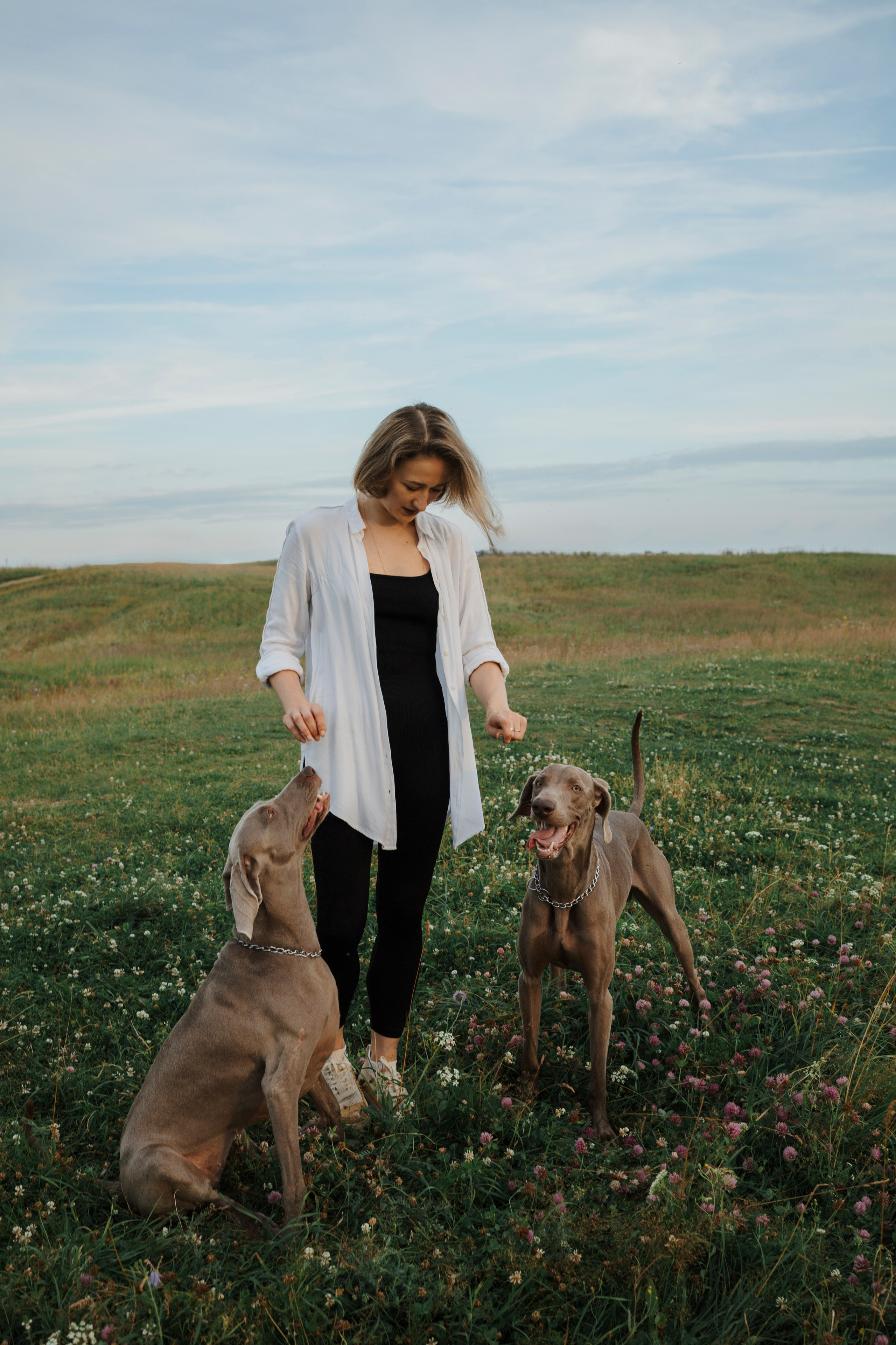 Маргарита и веймаранеры. Фотограф-анималист в Санкт-Петеребурге Титова Алиса