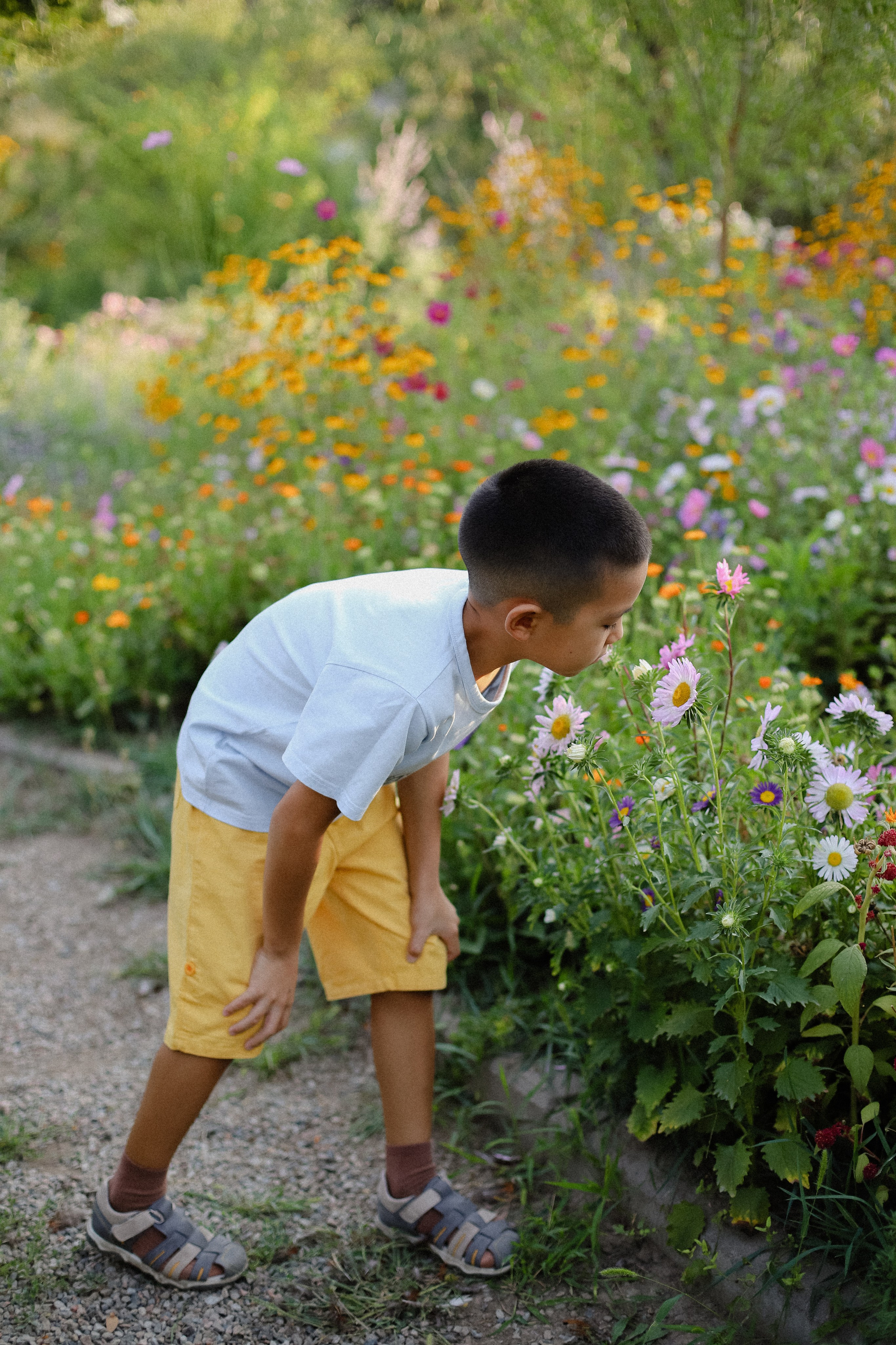 Августовский закат. Фотограф в Алматы и Москве Даша Пушкина