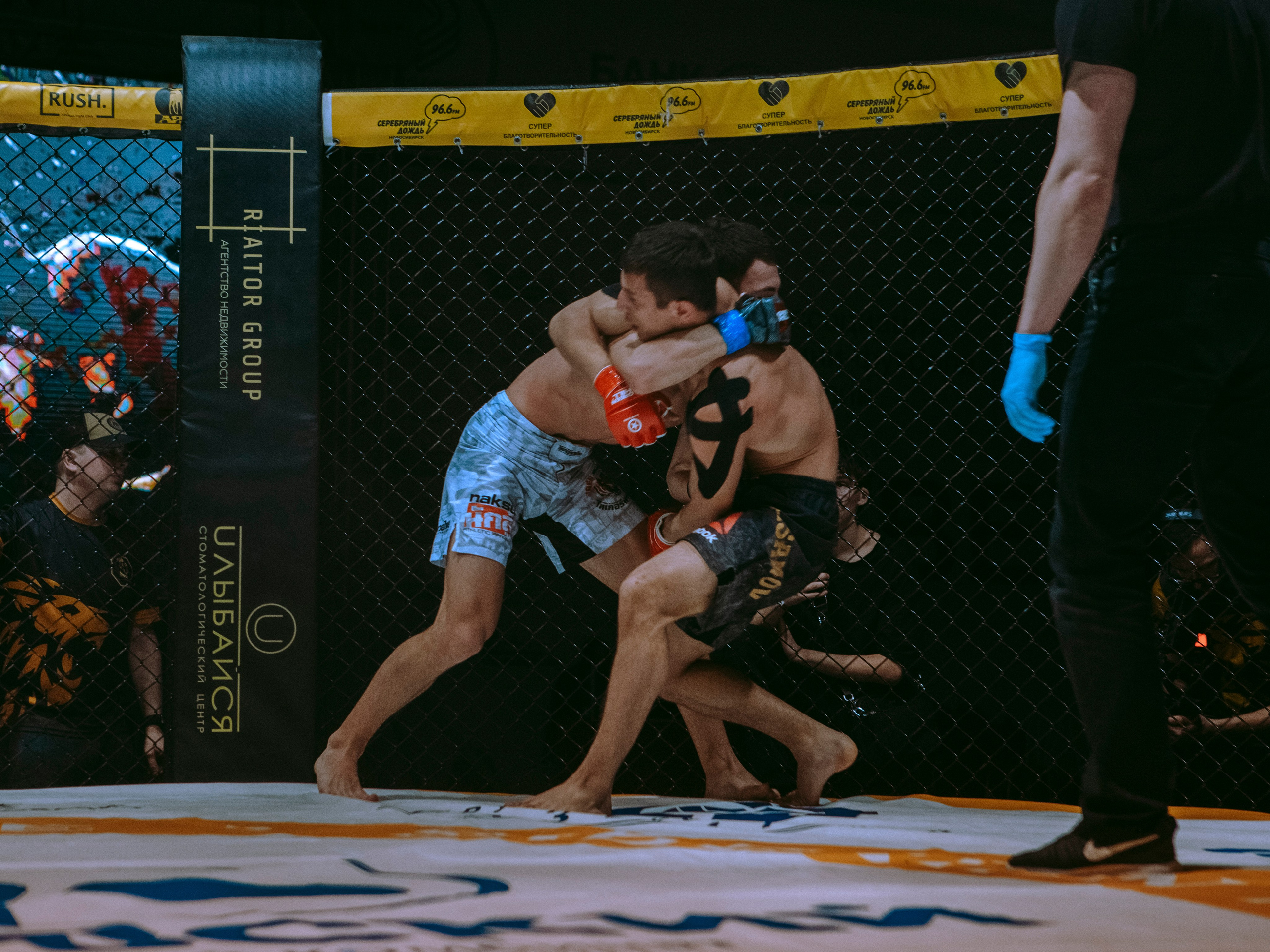 SFL 17 | Siberian Fighting League. Портретный фотограф в Москве Дарья Цезария