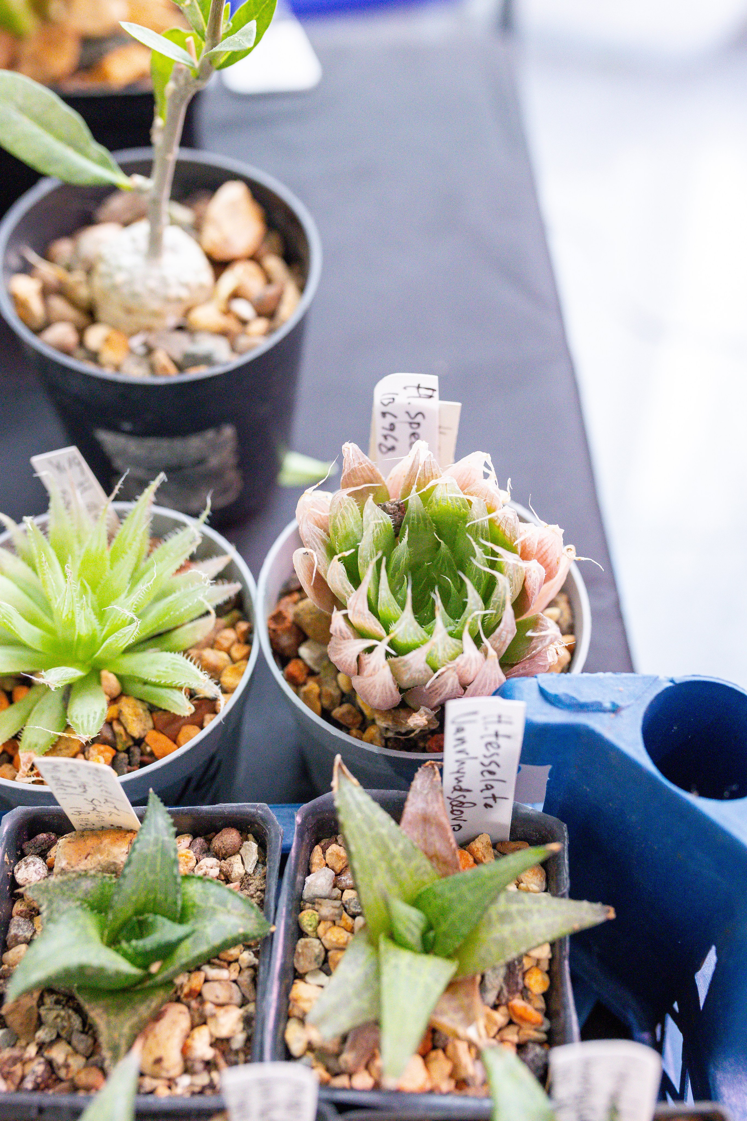 Монстериум 11–12 октября. Александра Куликова фотограф, Москва