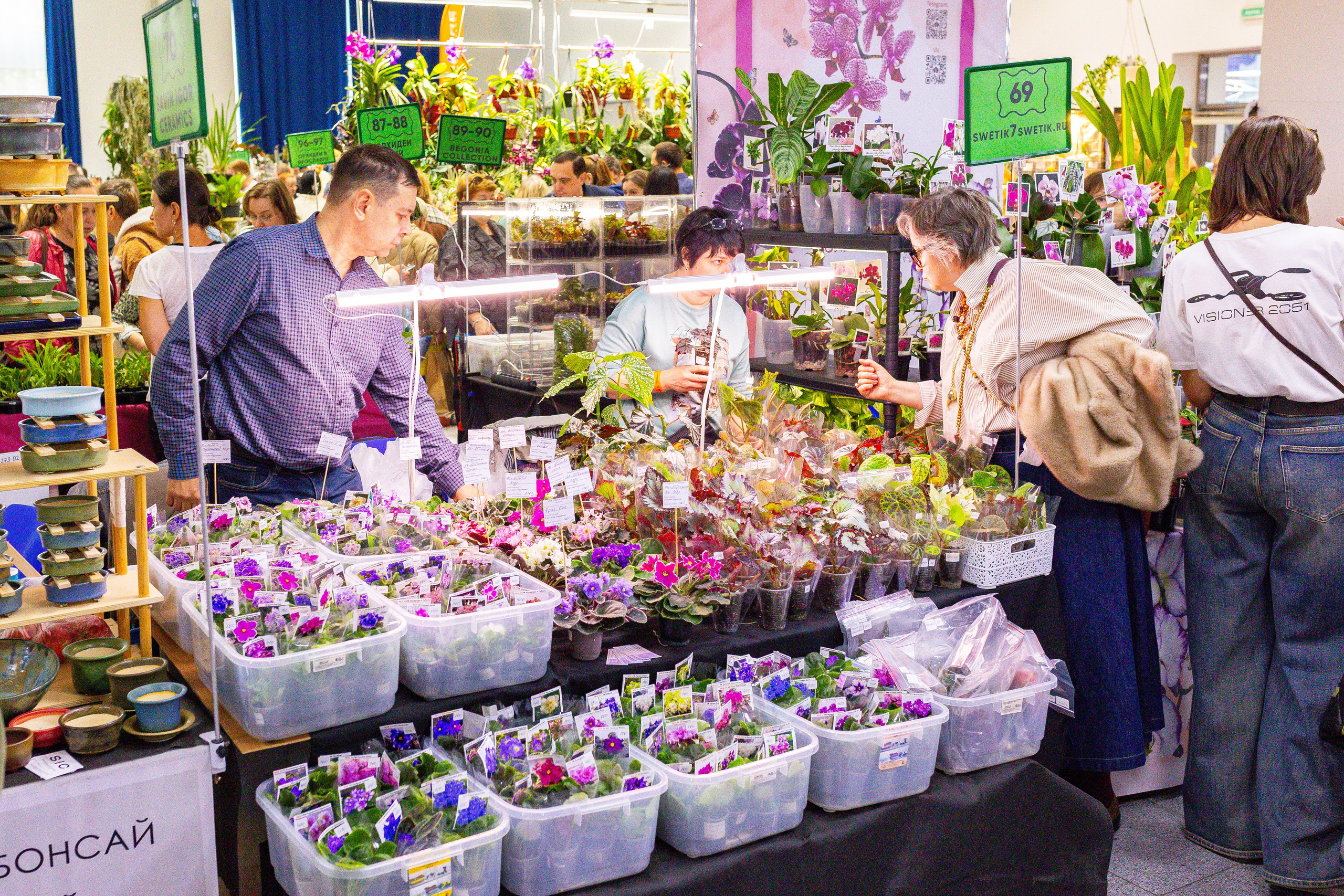 Орхидиум сентябрь 2025. Александра Куликова фотограф, Москва