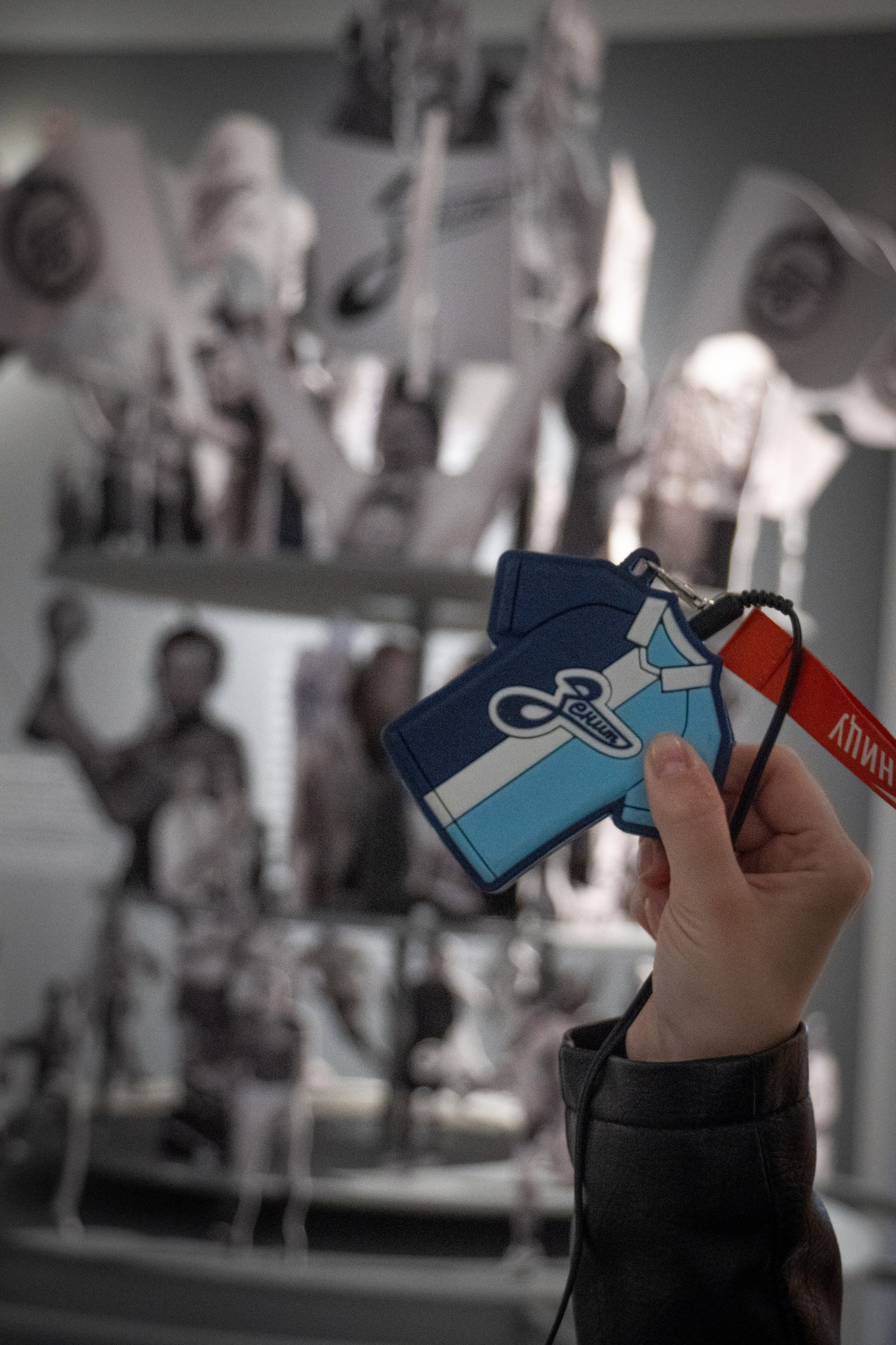 Выставка Зенит. Видеограф, фотограф в Санкт-Петербурге Элеонора Петрова