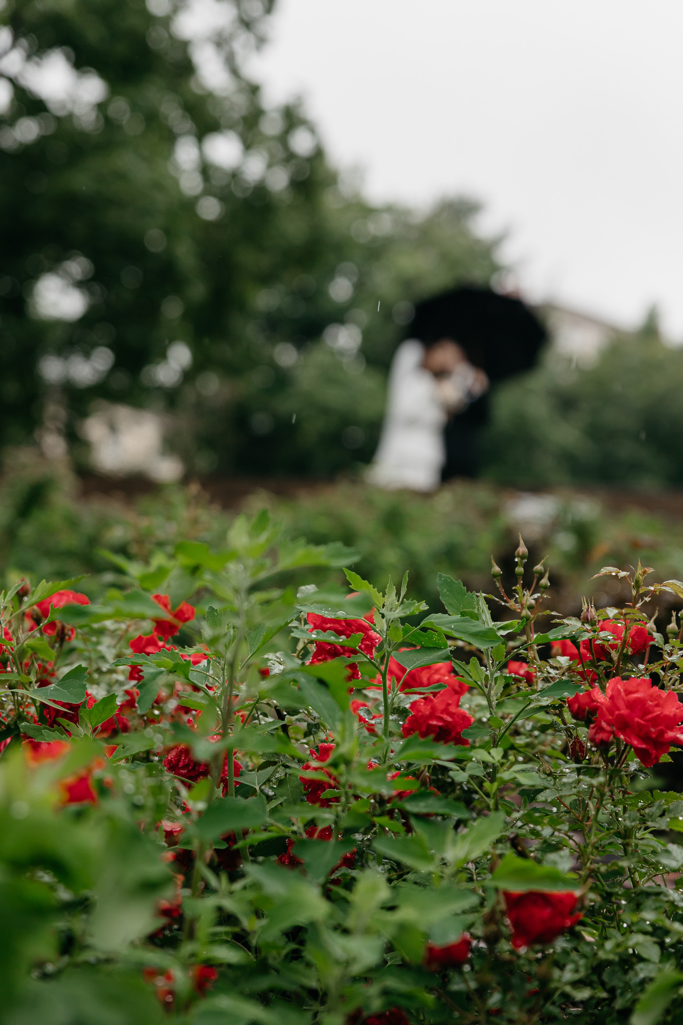 Дмитрий и Екатерина. Свадебный фотограф Дмитрий Марышев
