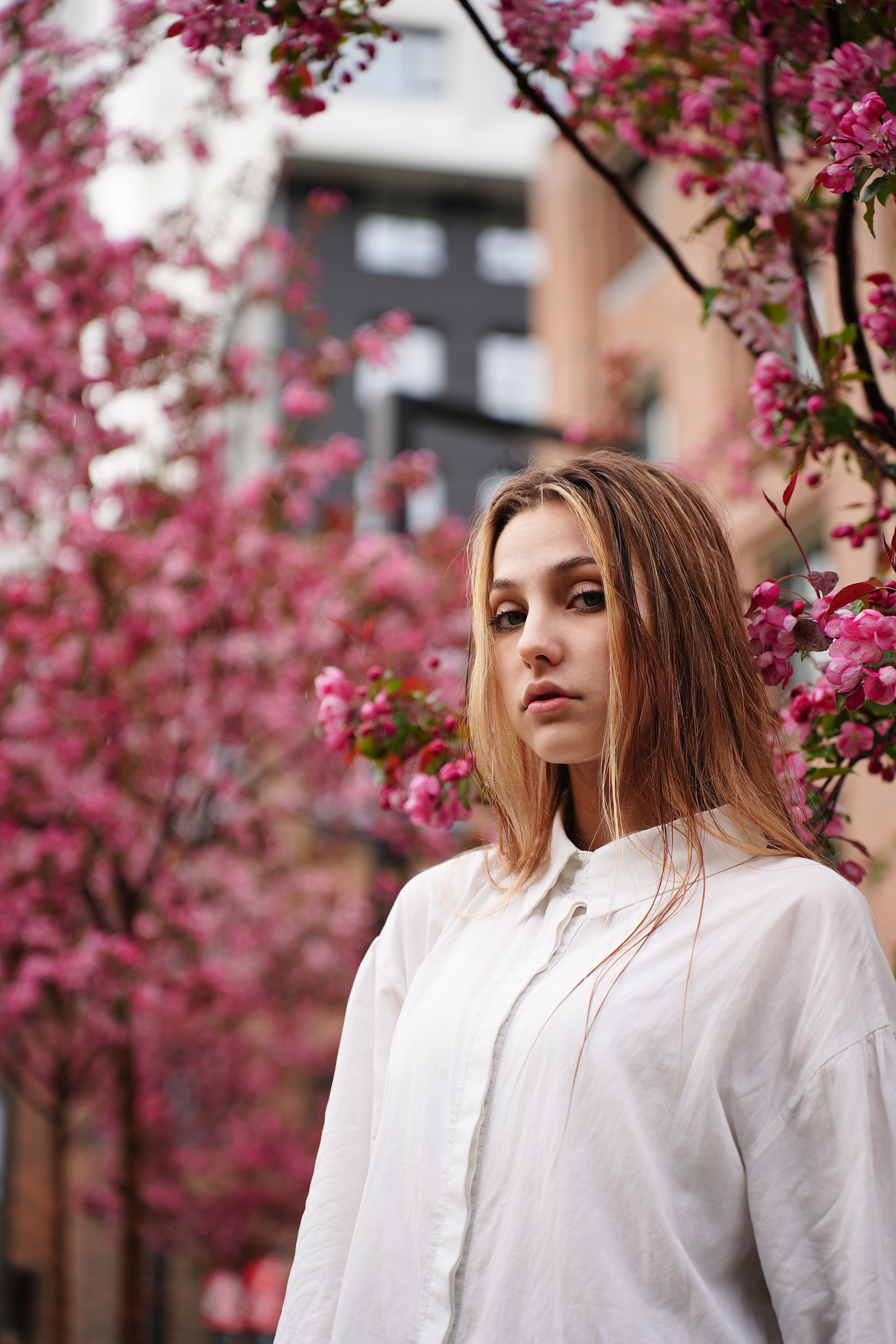 Оля Башкирская Сакура. Pupov.png