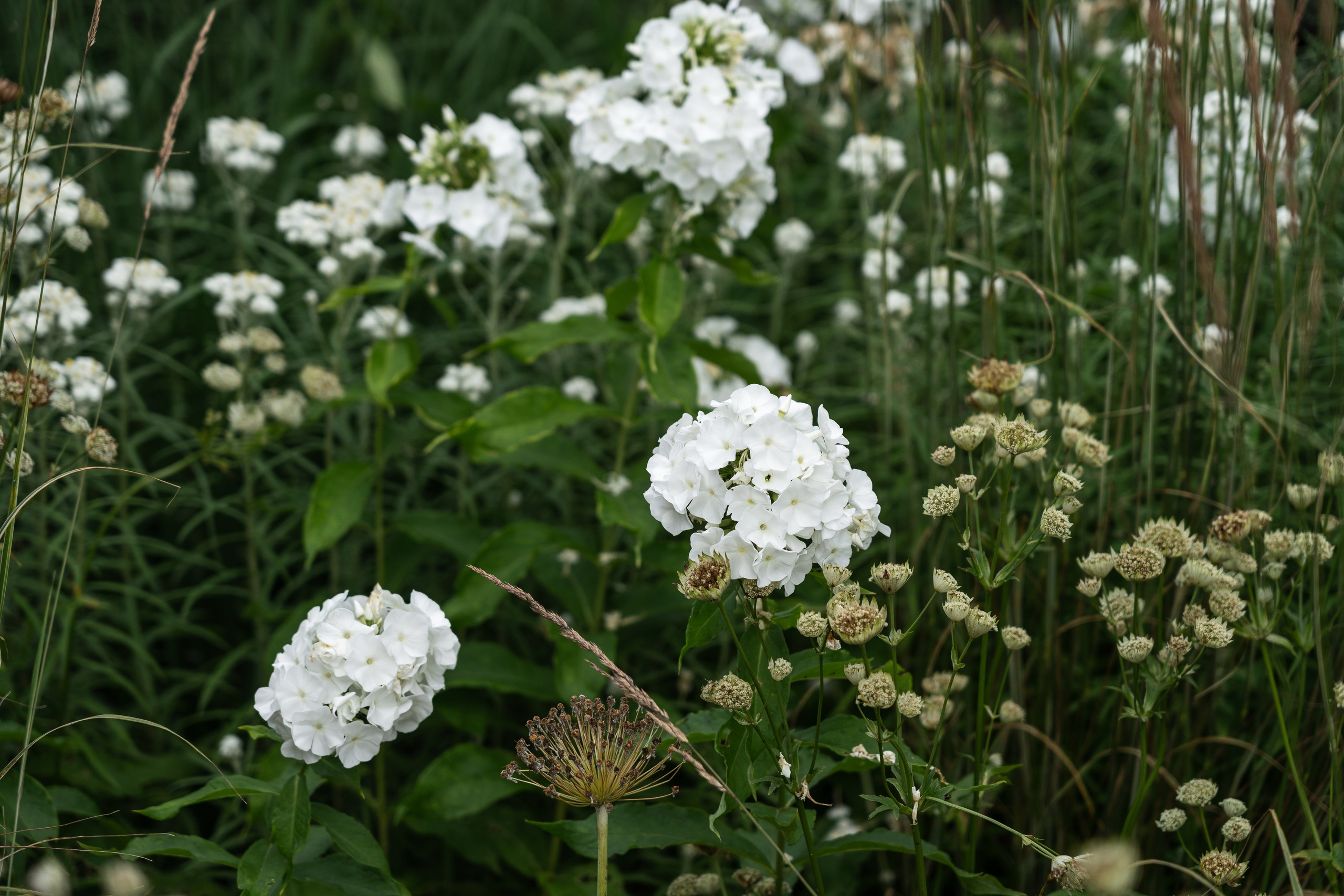 Private house, Tver region, Konakovo. Артамонов Александр | Архитектурный и ландшафтный фотограф