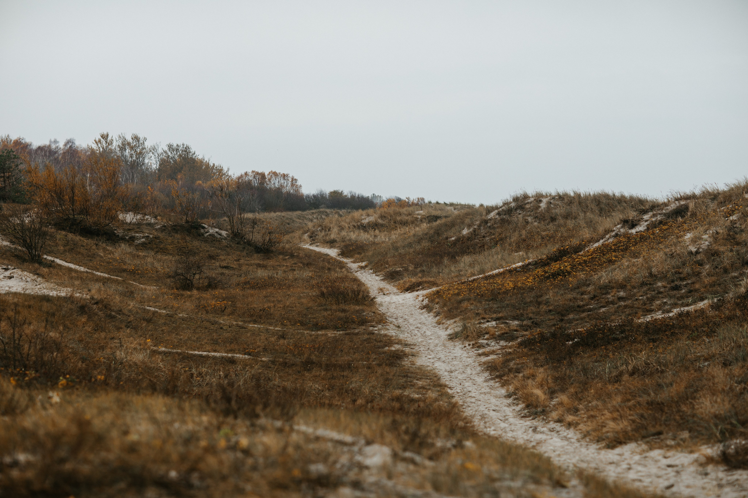 Фотосессия в Балтийске. Https://malovafoto.ru