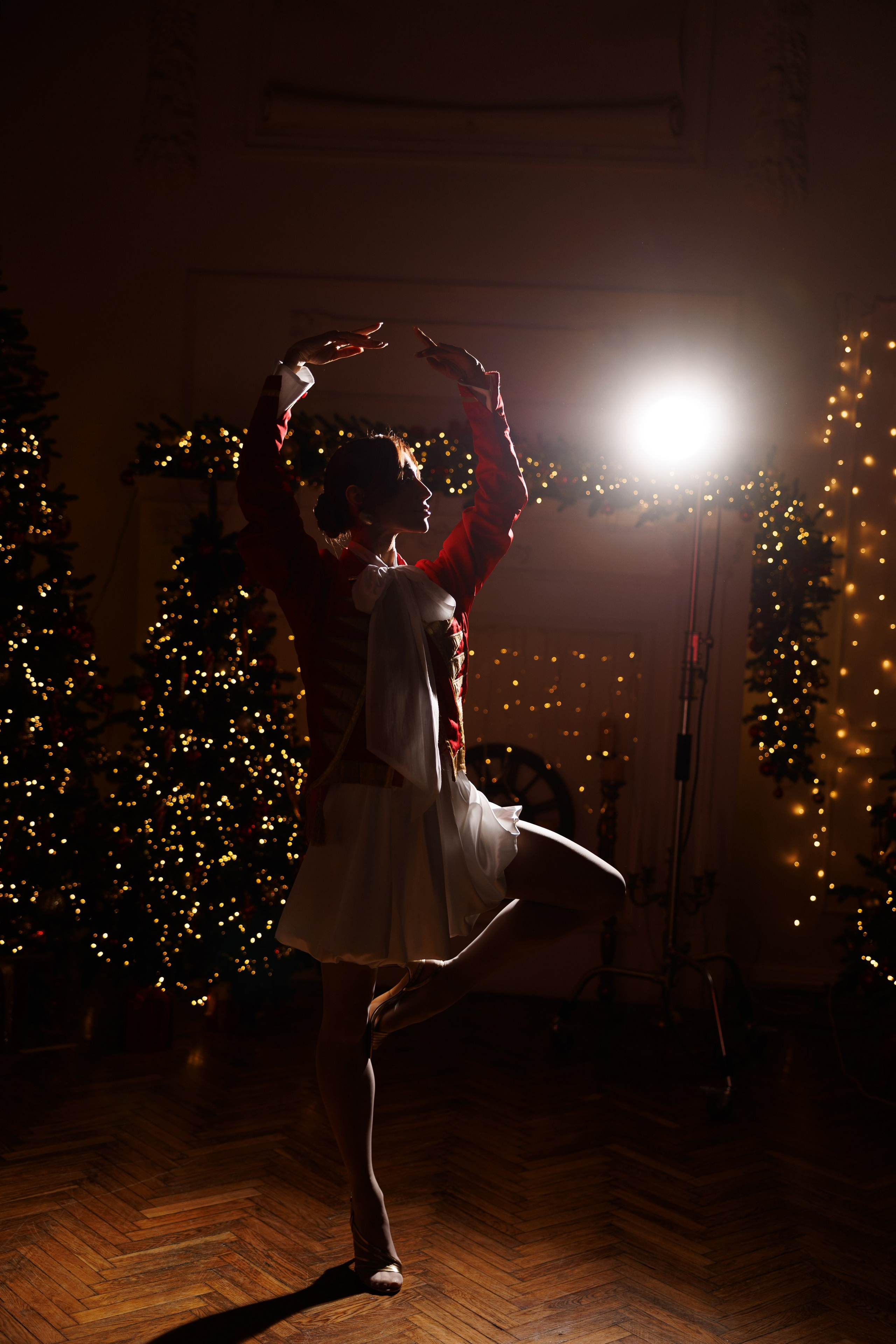 Новогодняя фотосессия Щелкунчик. Марта. Фотограф в Воронеже Галина Фурсова