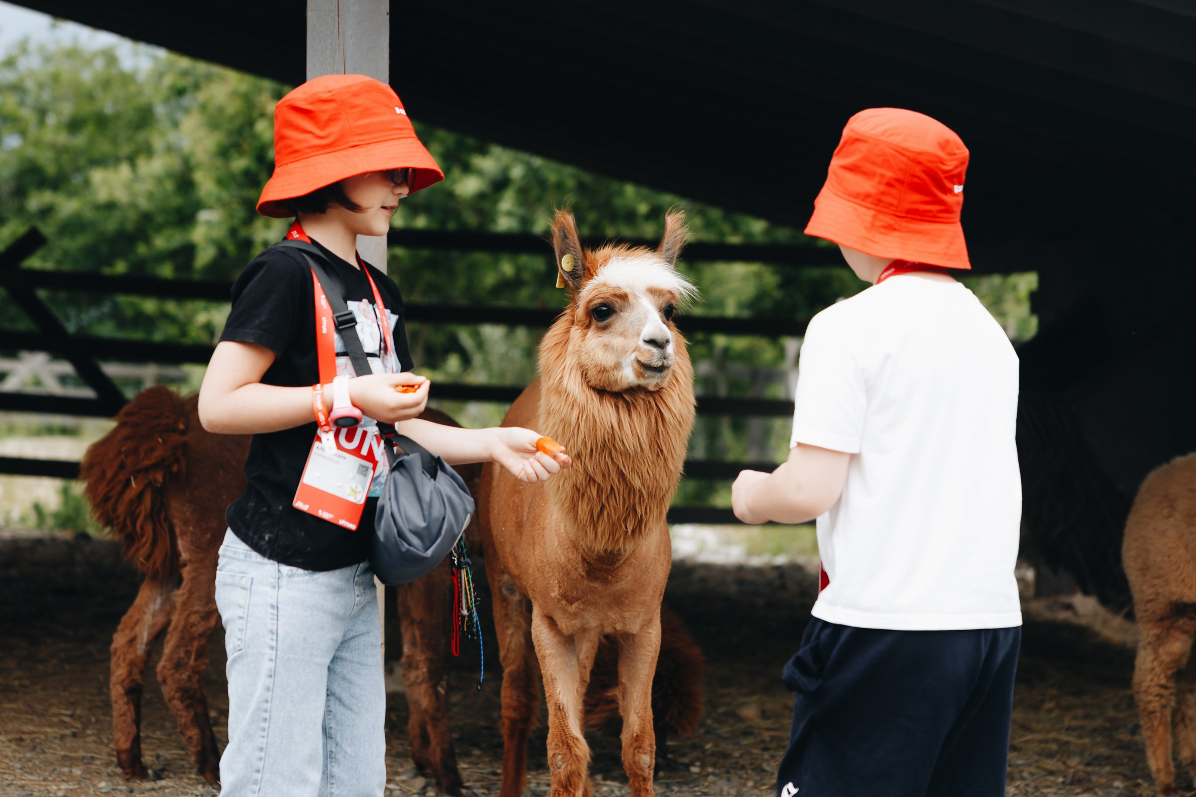 South HUB Family. South HUB