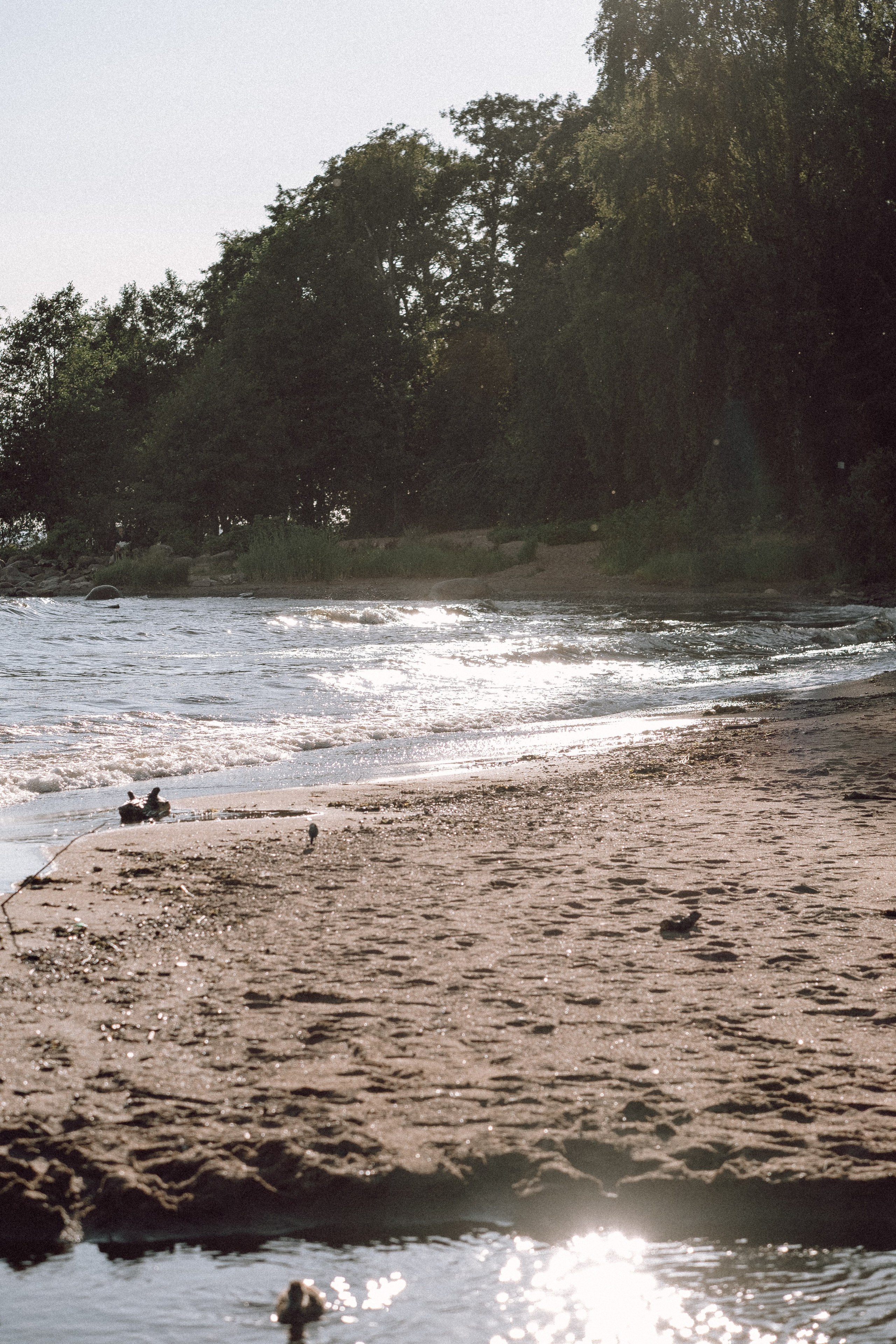ПРОГУЛКА НА БЕРЕГУ ФИНСКОГО ЗАЛИВА. Профессиональный фотограф, Санкт-Петербург — Виктория Богомолова