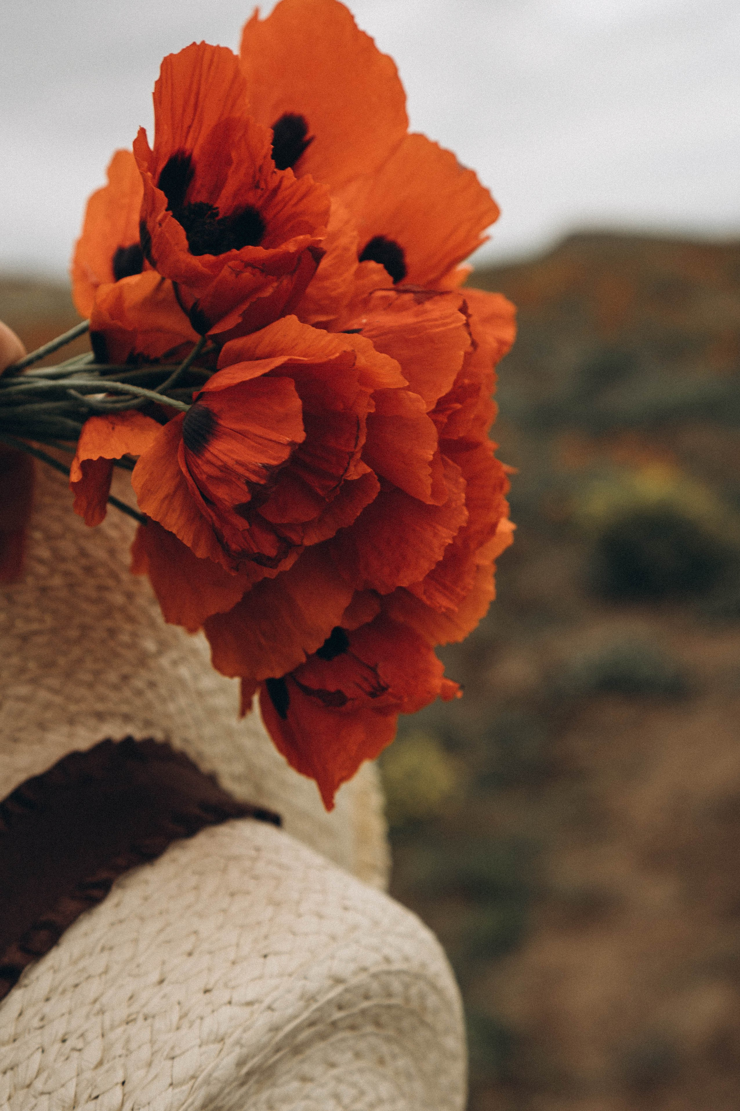 Путешествие в Дагестане. Профессиональный фотограф, Санкт-Петербург — Виктория Богомолова