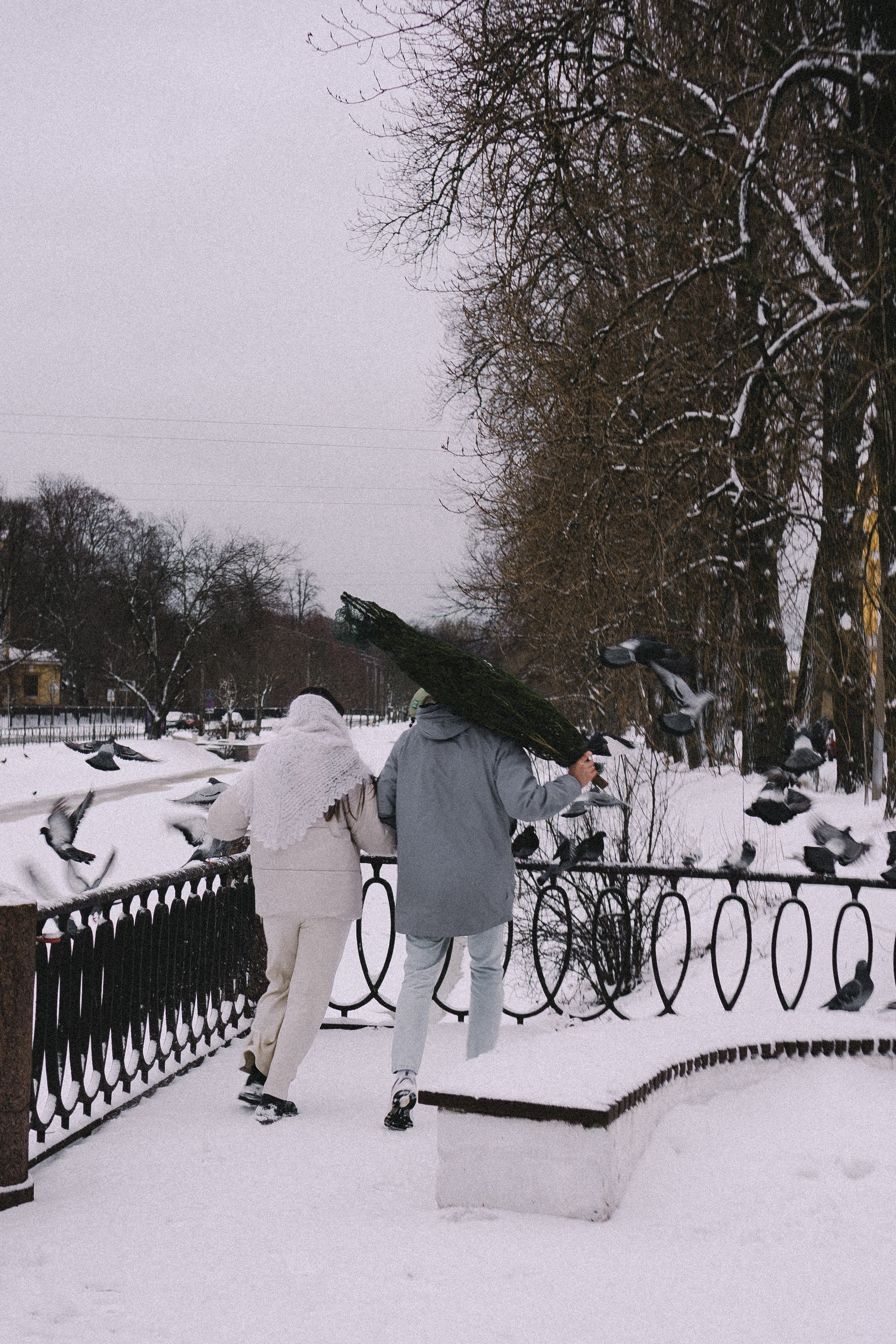 Зимняя история. Профессиональный фотограф, Санкт-Петербург — Виктория Богомолова