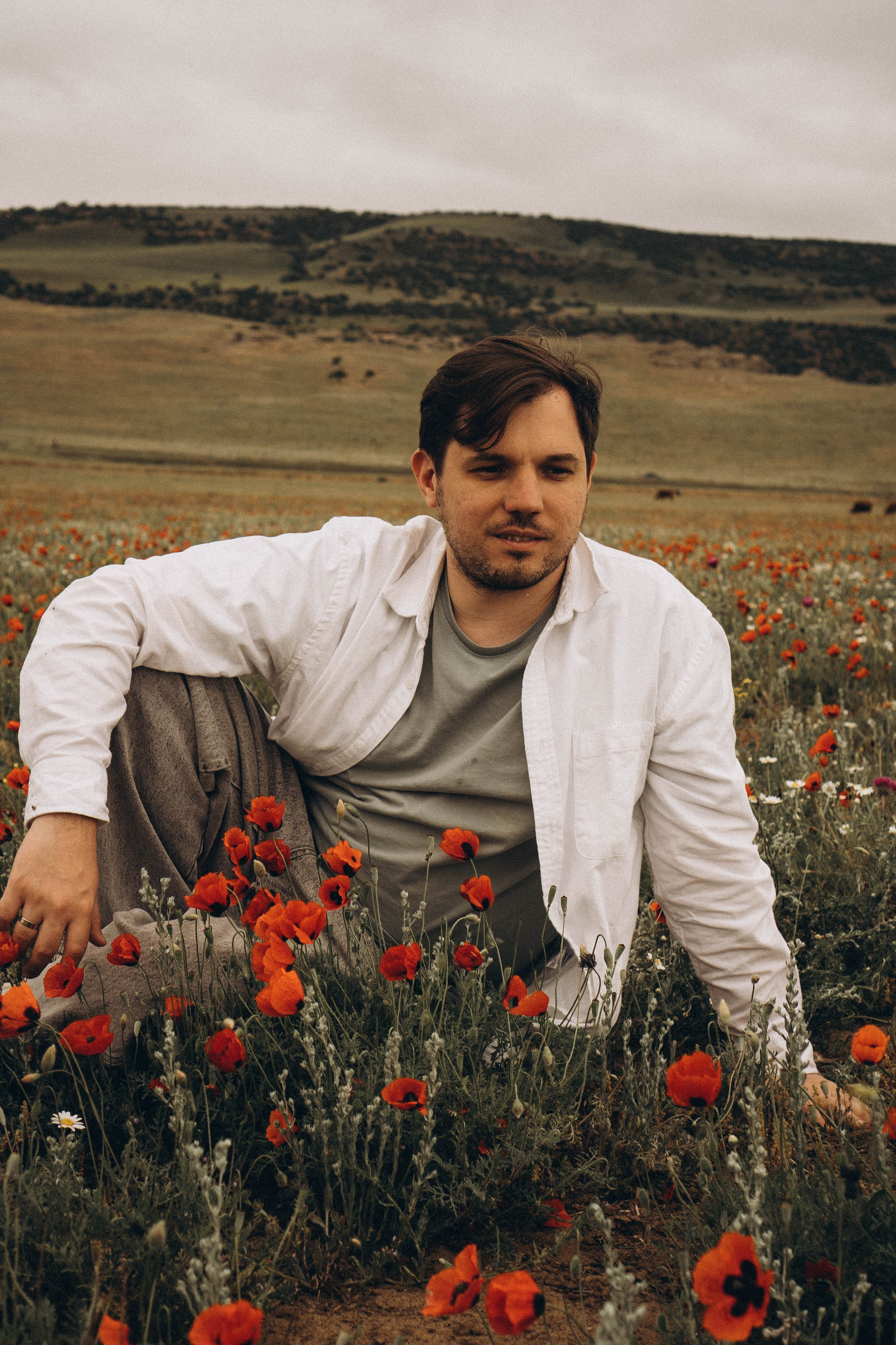 Маки. Профессиональный фотограф, Санкт-Петербург — Виктория Богомолова