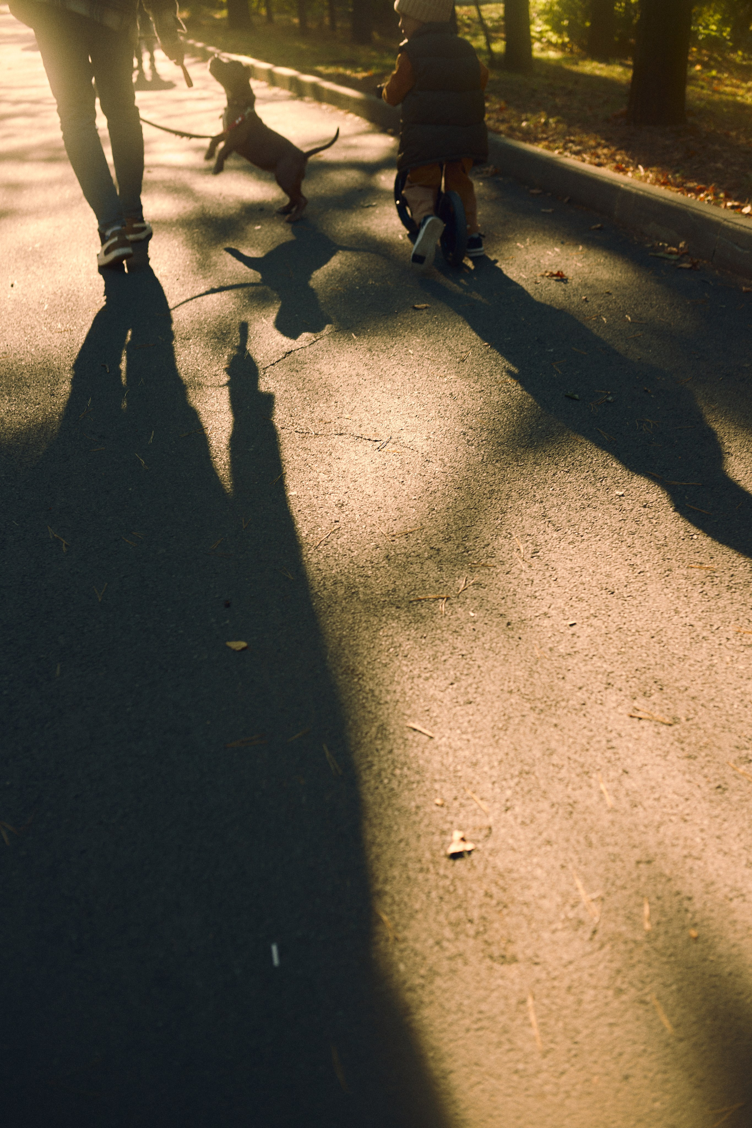 Парк осенью. Фотограф Ионова Анастасия, г Владивосток