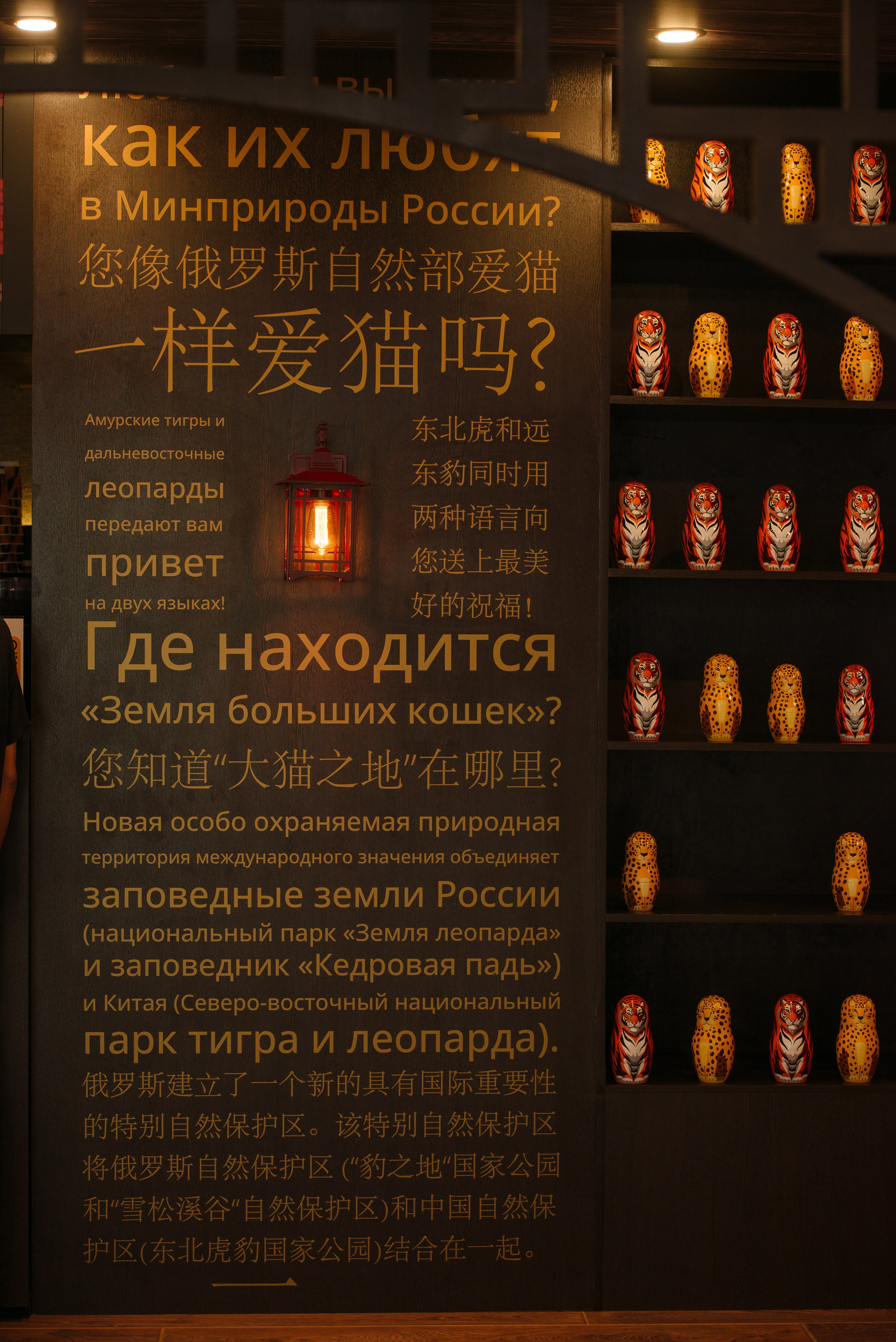 ВЭФ 2024. Фотограф Мария Каюрова