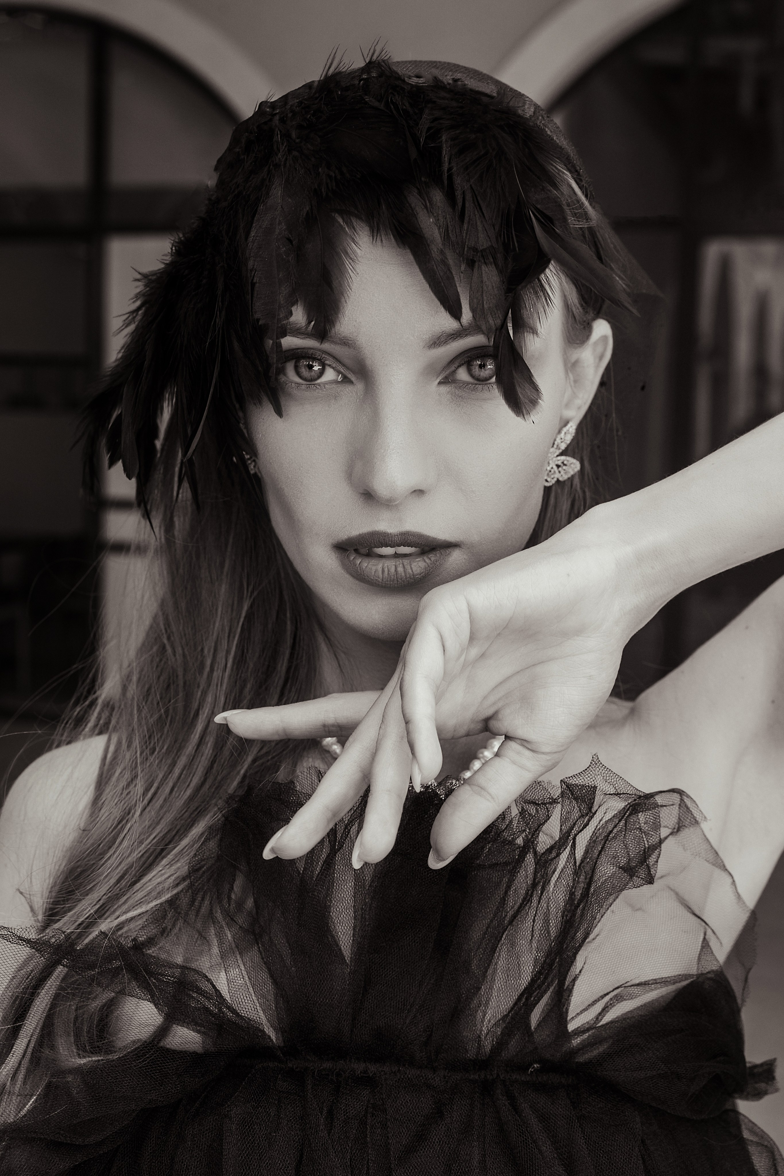 Черный лебедь. Фотограф Тимофеева Любовь