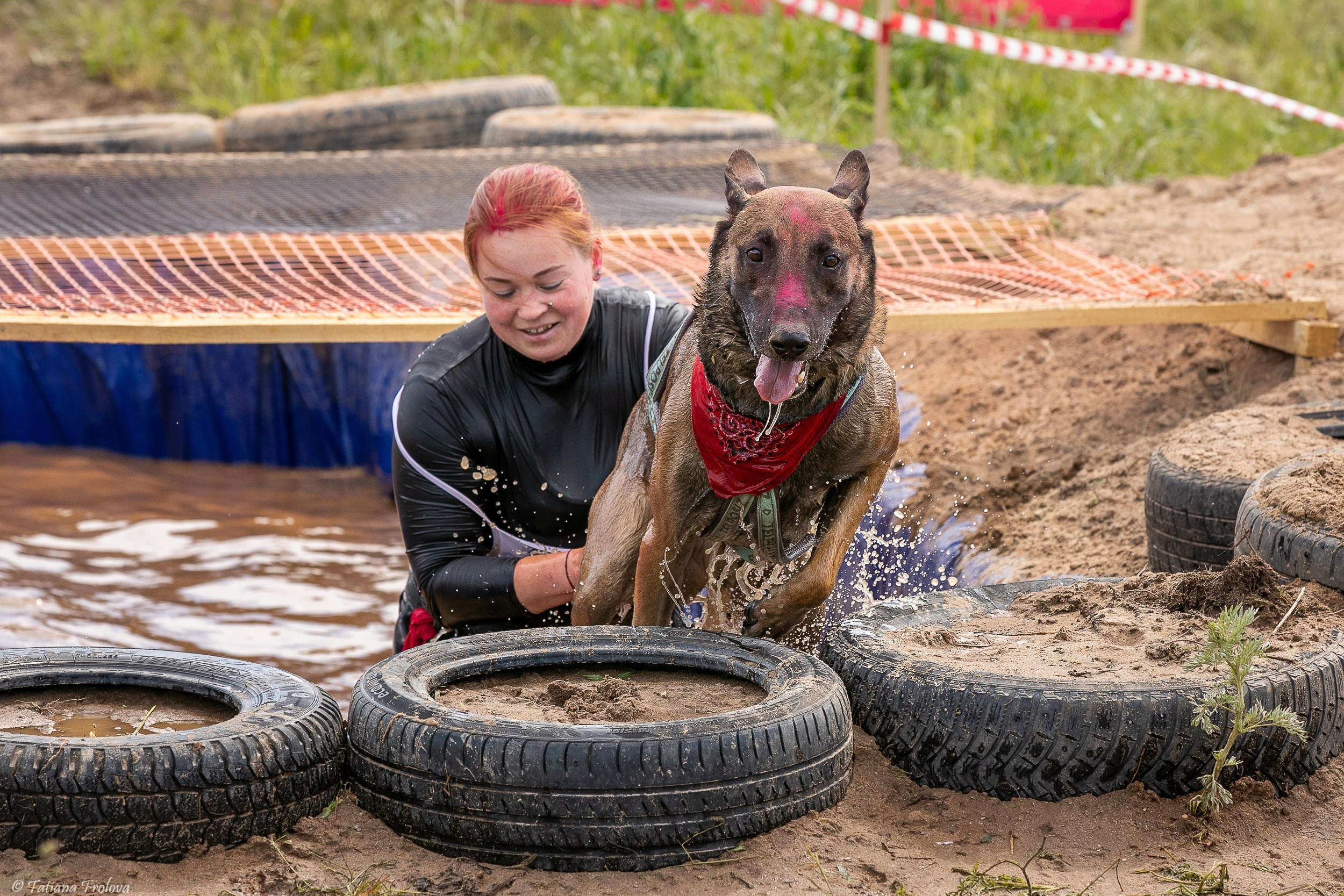 Фоторепортаж с забега с собаками. Фотограф-анималист в Москве и Московской области Татьяна Фролова