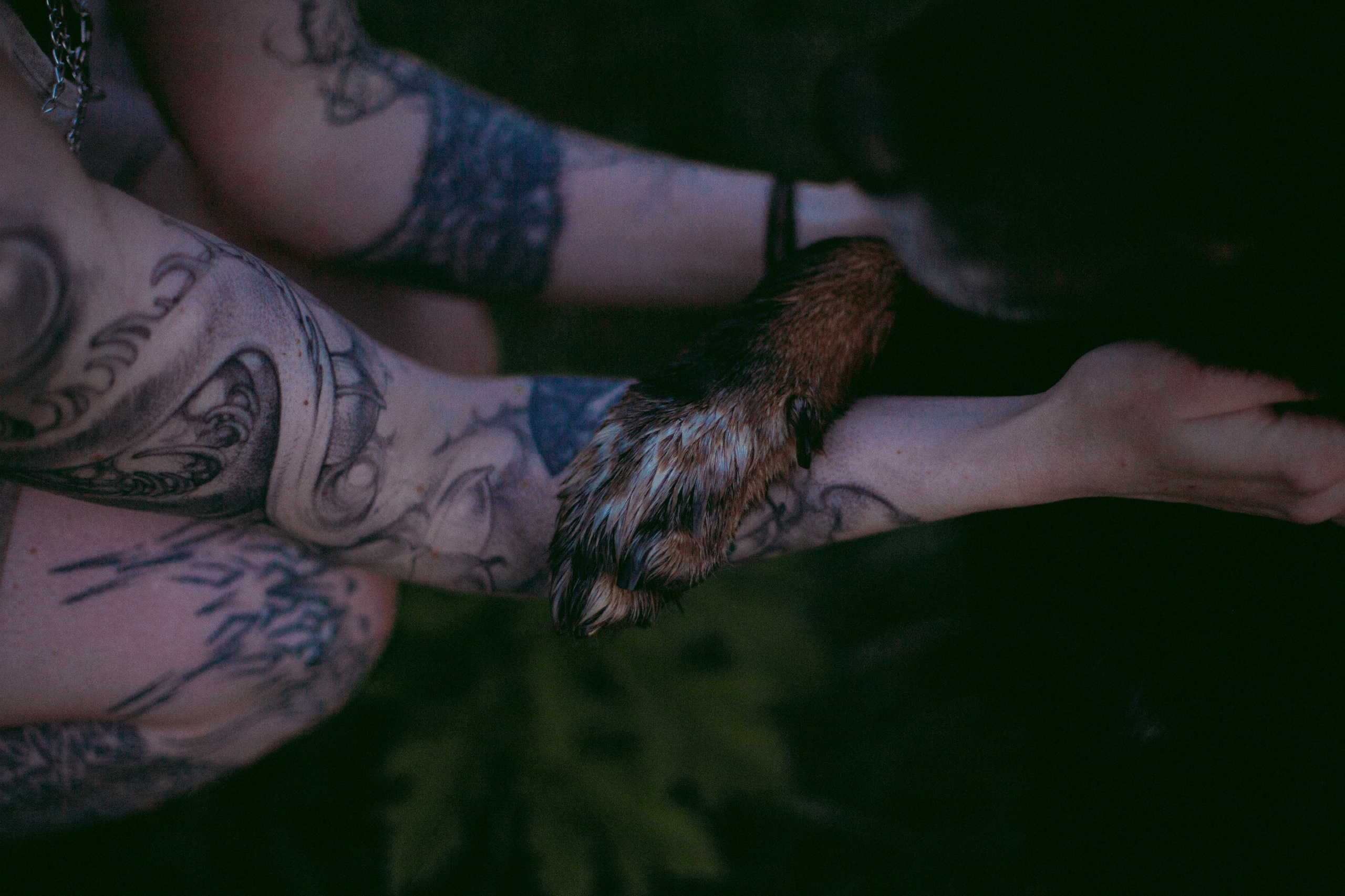 Алёна и Феликс. Про вас, самых близких и хвостиков. Фотограф на Кипре, Ксения Бурдель