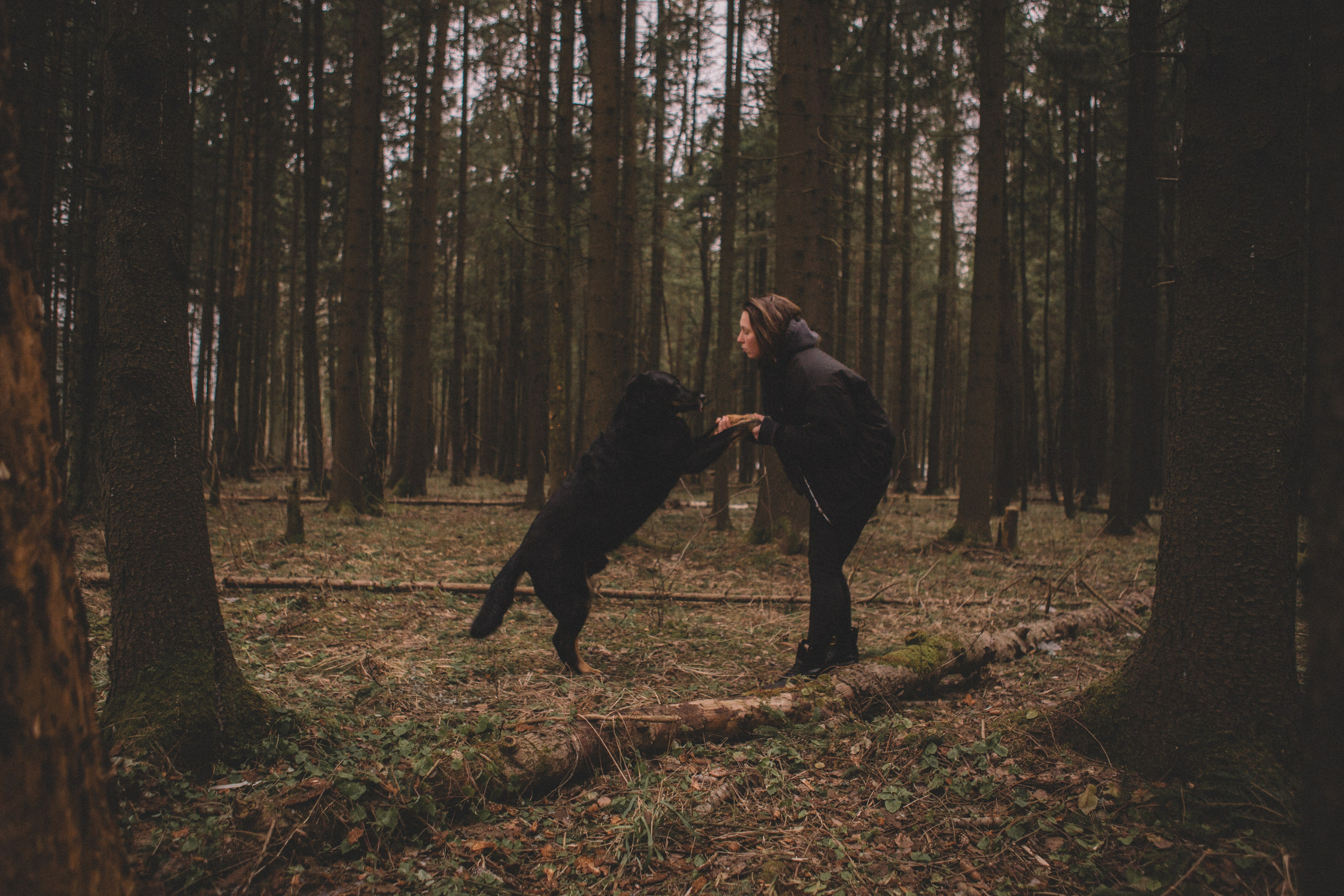 Alyona & Felix. Portrait, family and pet photographer in Cyprus, Ksenia Bourdelle
