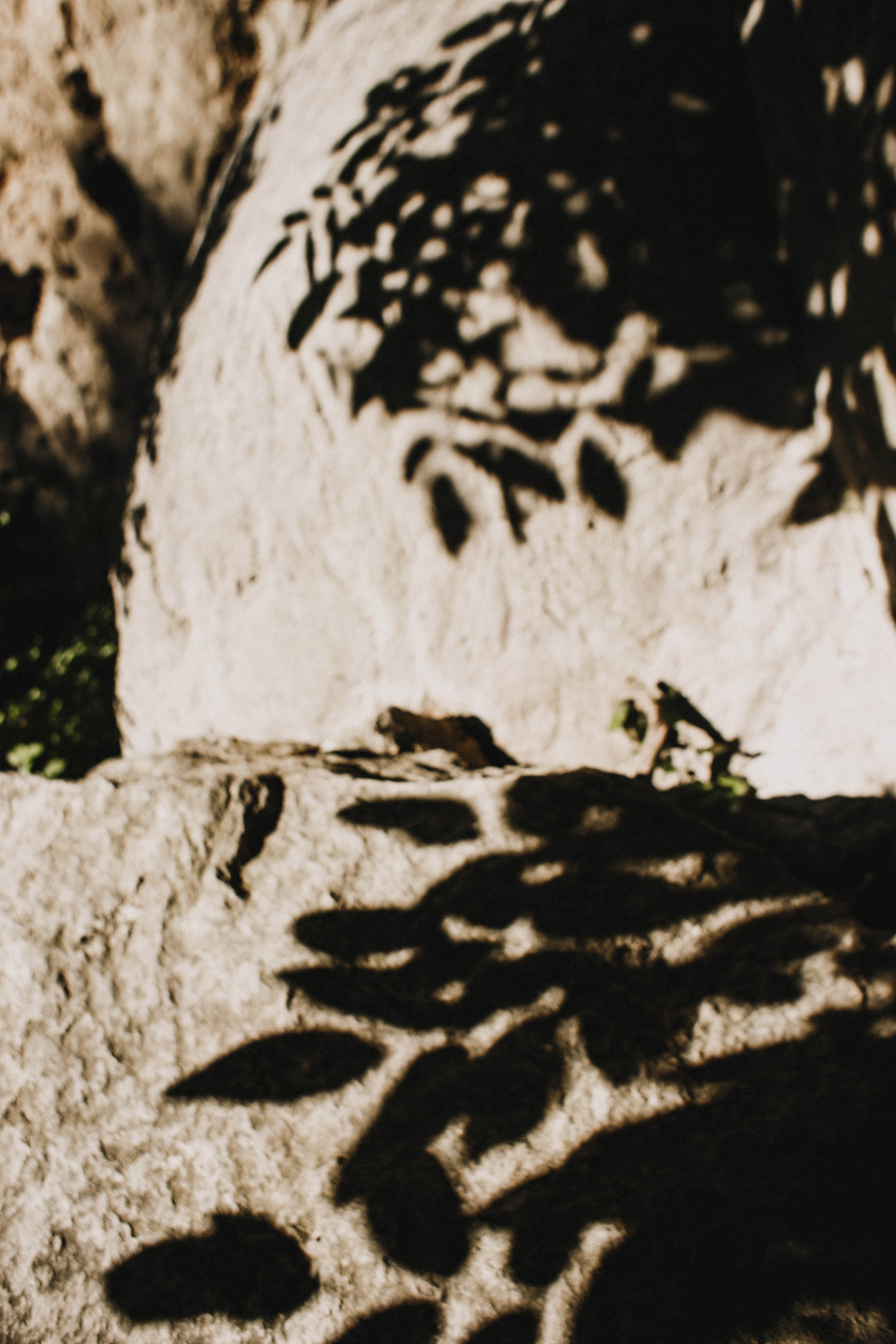 Дагестан. Чечня. 2024. Фотограф в Нижнем Новгороде