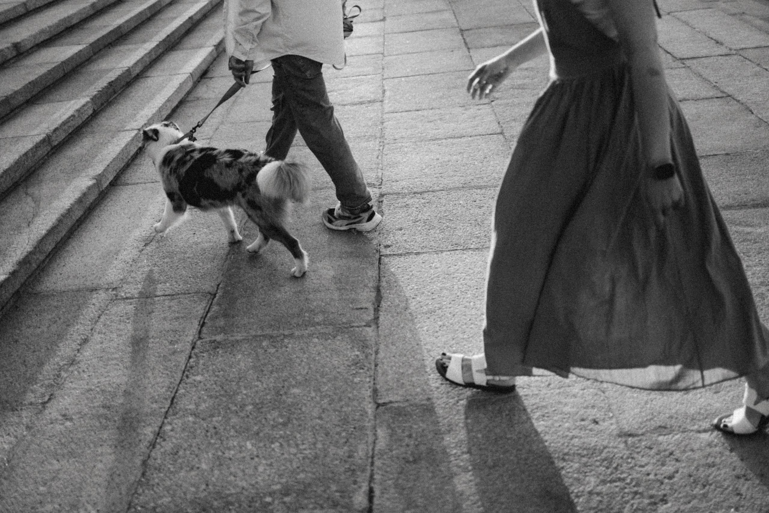Настя, Влад и Лэйк. Фотораф — анималист Мария Шистка