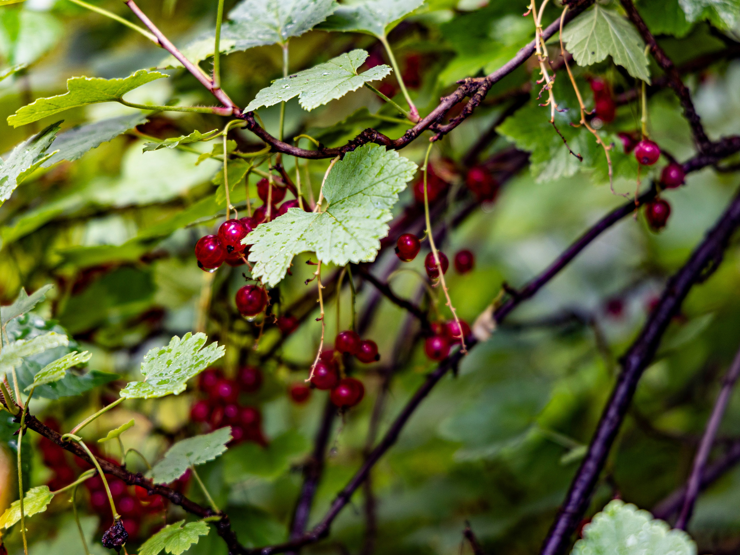 Фотограф Татьяна Марсуверских г. Жуковский, Москва и Мо. Репортажные съёмки, фотосессии. Детский, семейный фотограф. Фотограф для маркетплейсов, фотоуслуги в Жуковском Татьяна Марсуверских