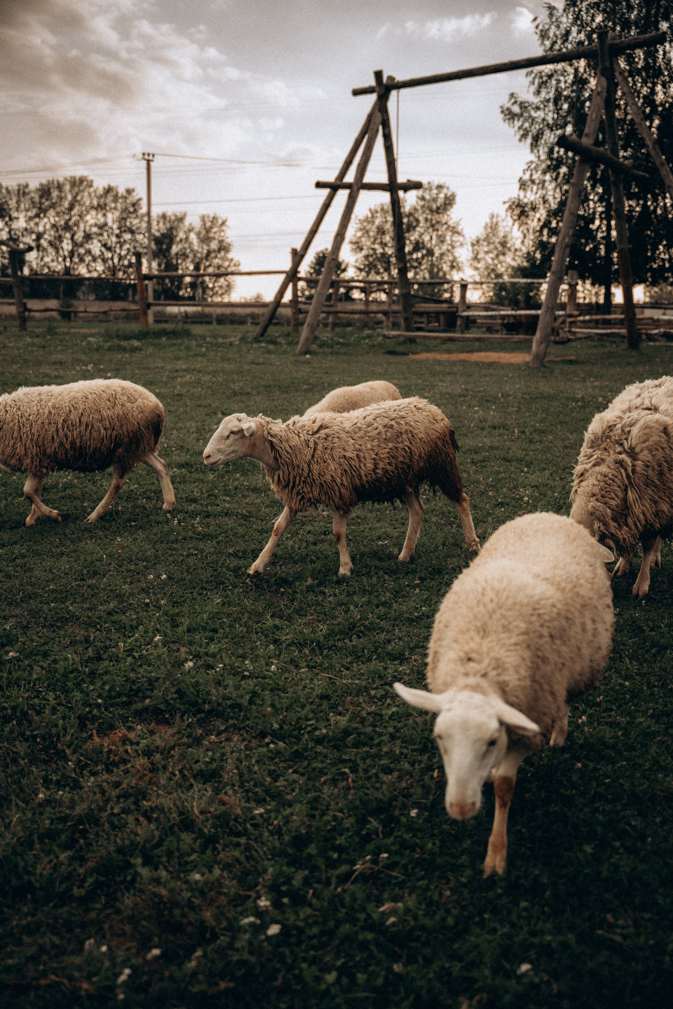 Виктория, Саша и Артемий. Фотограф Мария Миллс | Минск