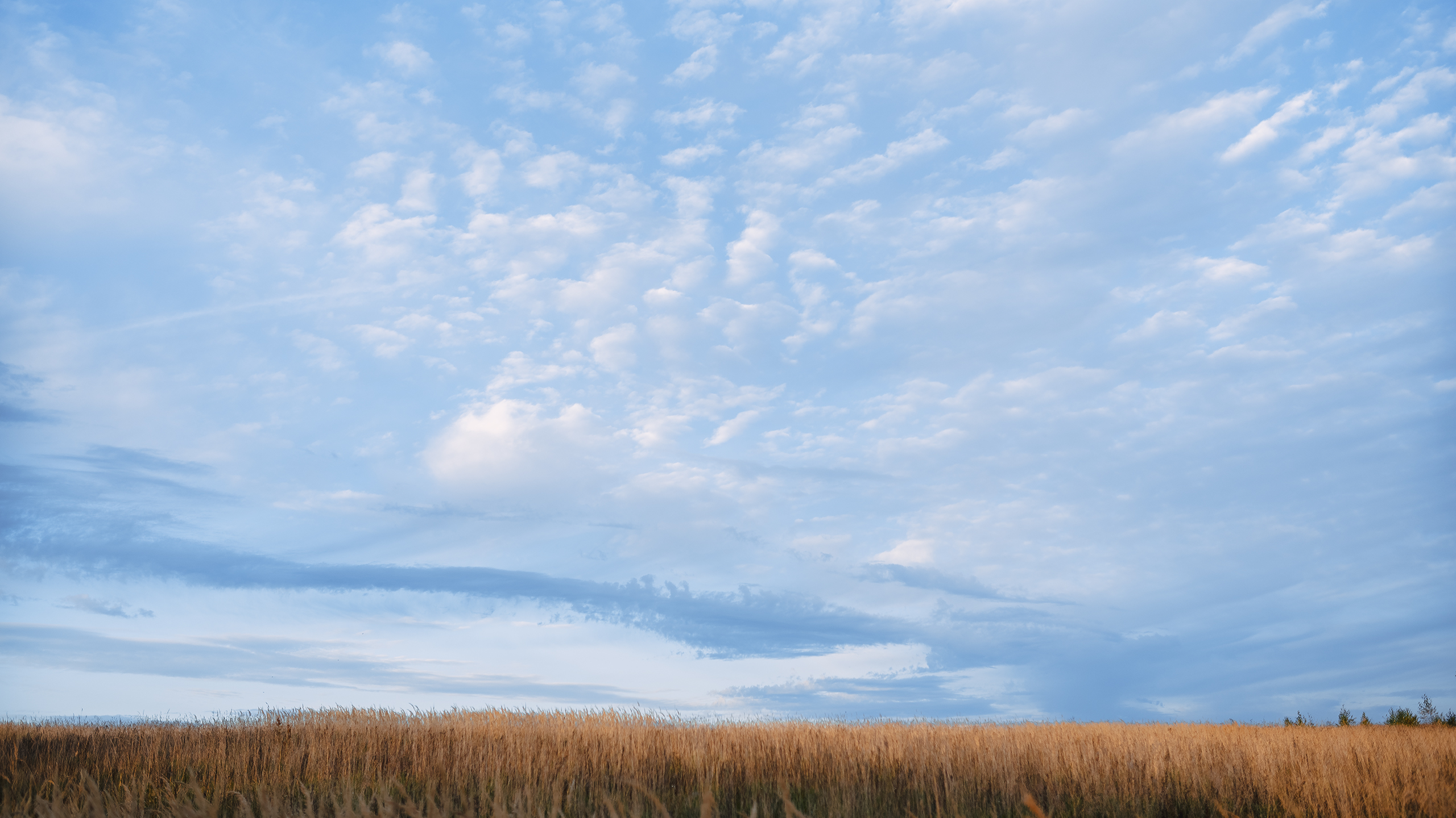 Небо видело всё. Komonev