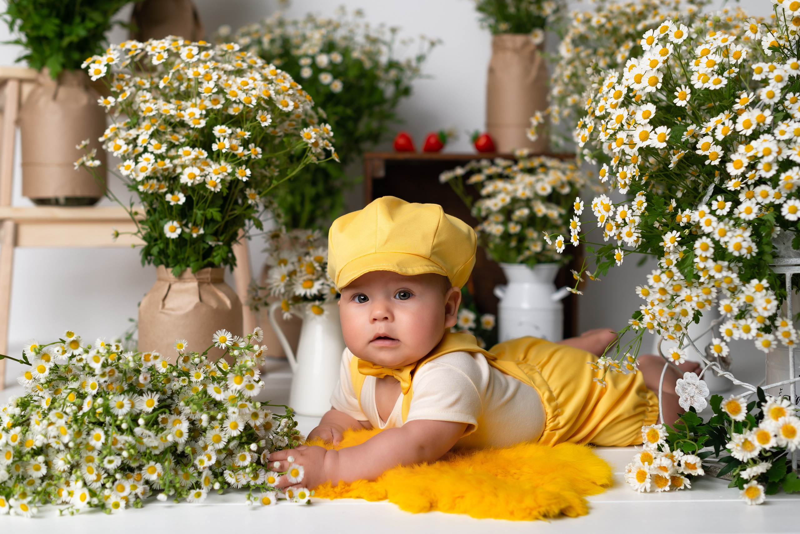 Фотостудия для малышей Краснодар. Детская фотостудия «Мандаринка» | Детский фотограф Краснодар