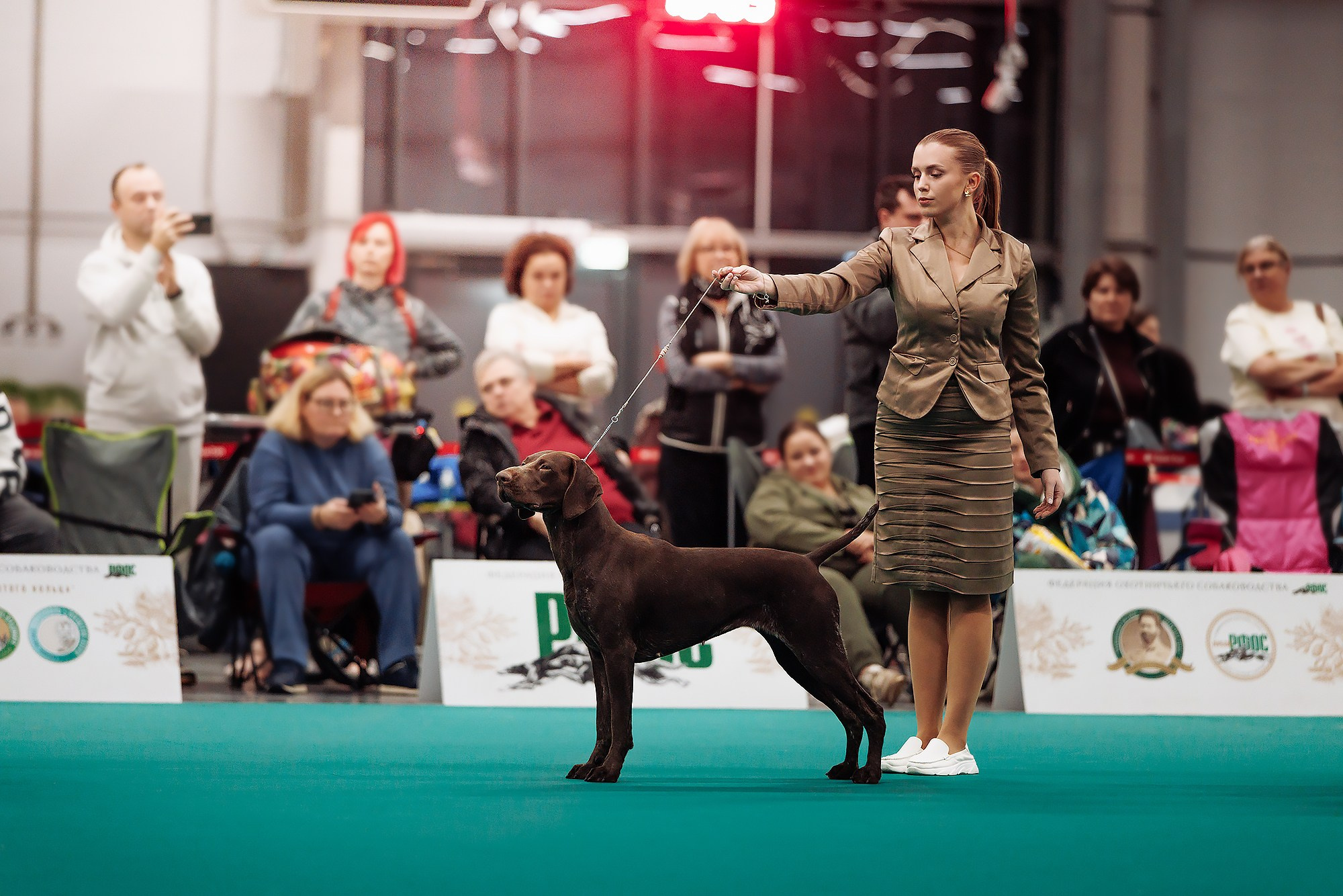 29-30.11.2025 — Казань «Зилант». Фотограф-анималист Саша Вязьмина
