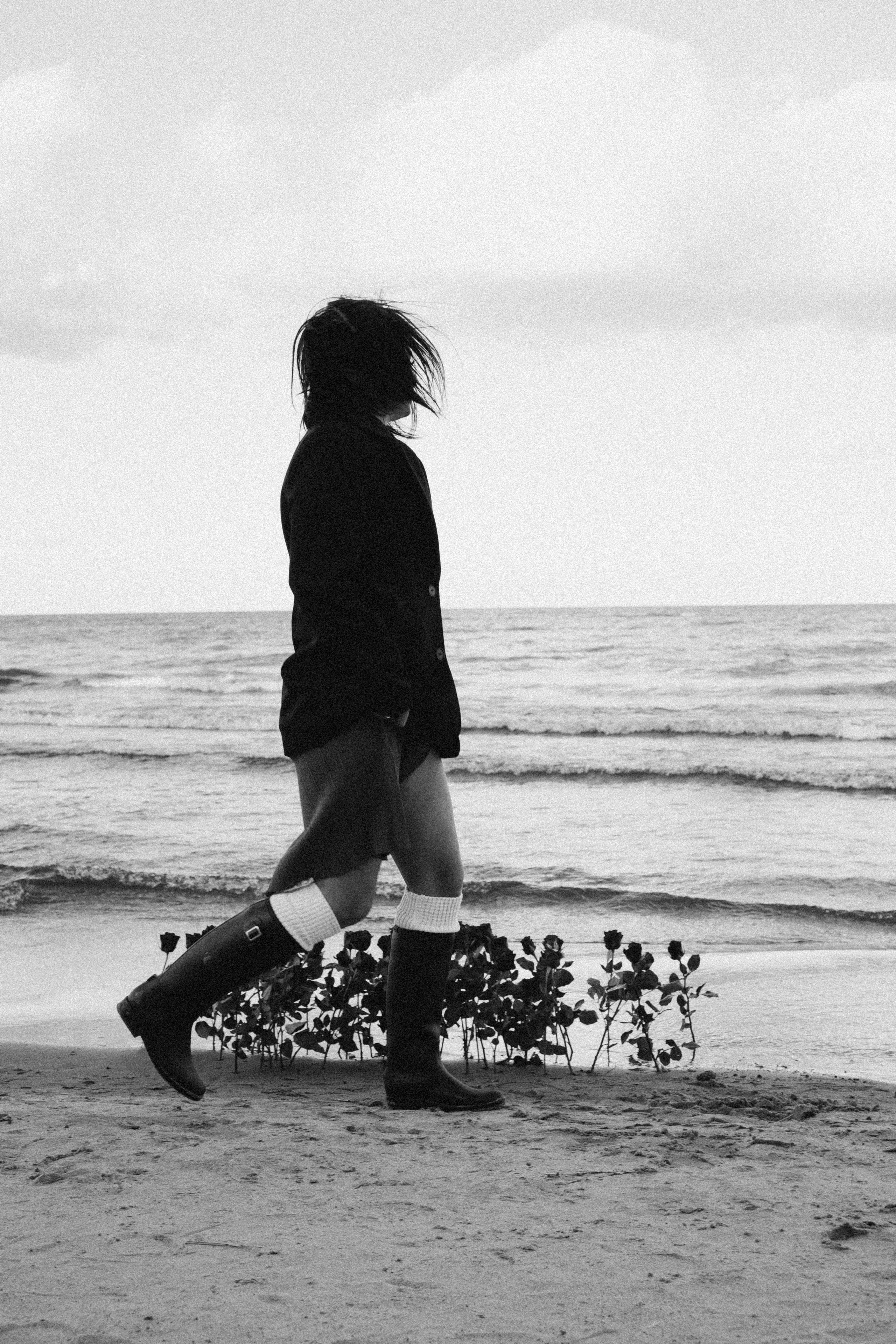 Розы. Профессиональный фотограф, Санкт-Петербург — Виктория Богомолова