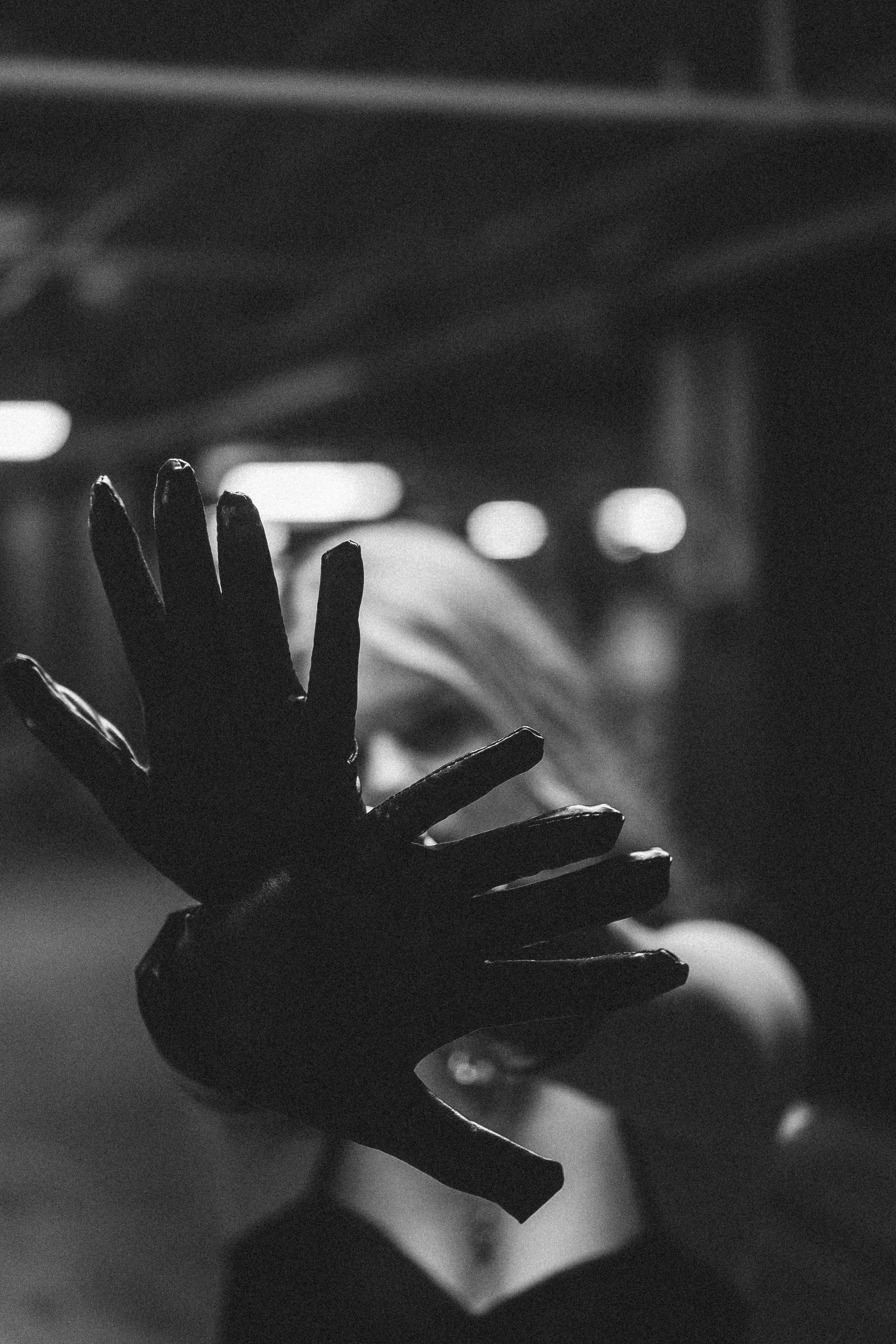 ЧБ. Профессиональный фотограф, Санкт-Петербург — Виктория Богомолова