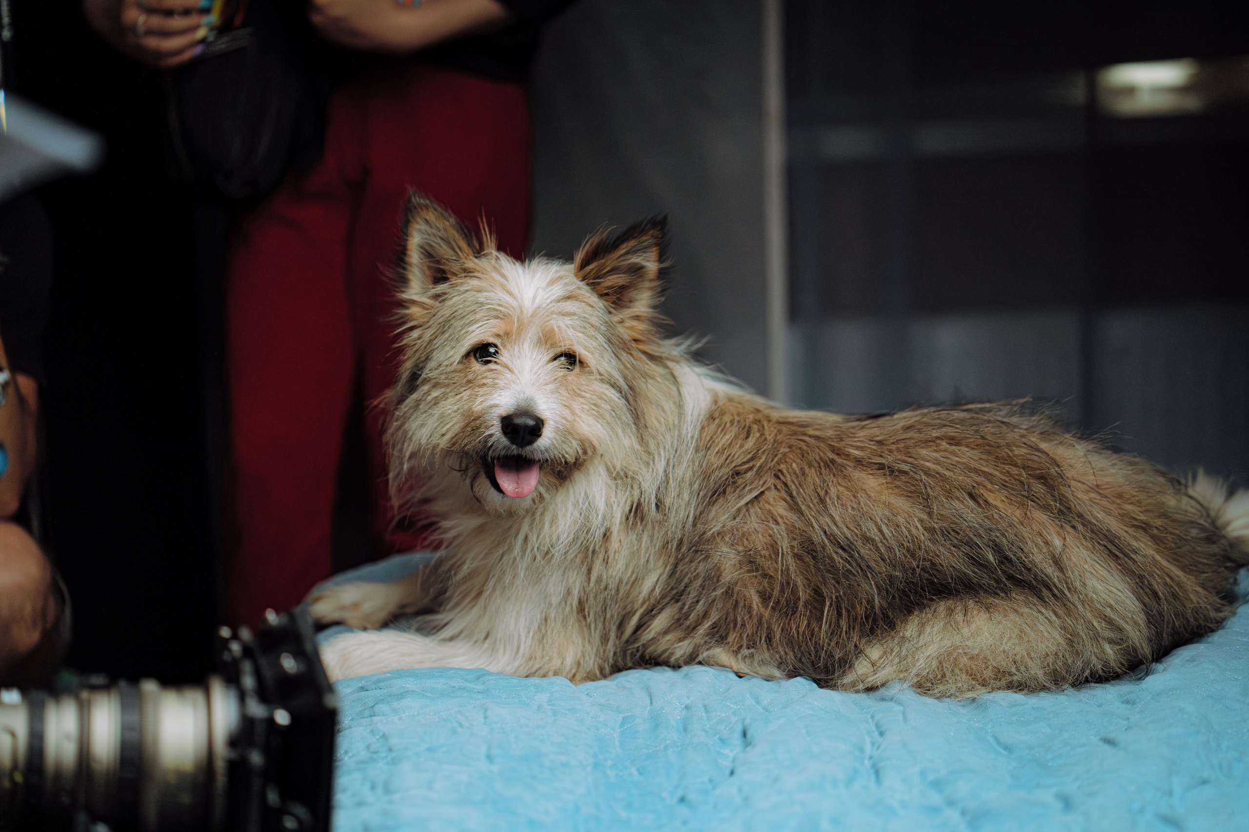 Бэкстейдж|СТС|Бурунов. Творческий и репортажный фотограф в Москве Клим Долгов