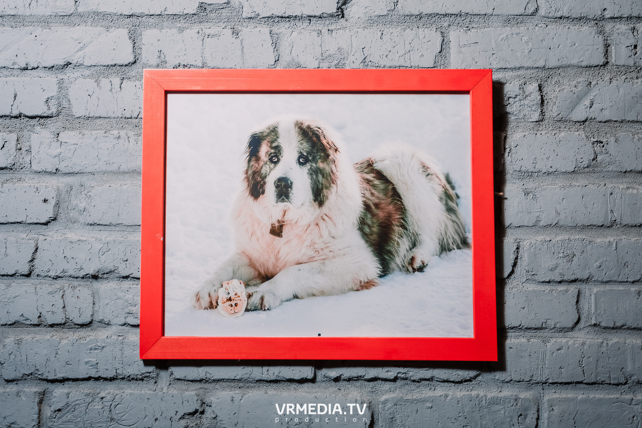 Backstage. Блог «С бизнесом на ТЫ!»: Баграт Агажанов